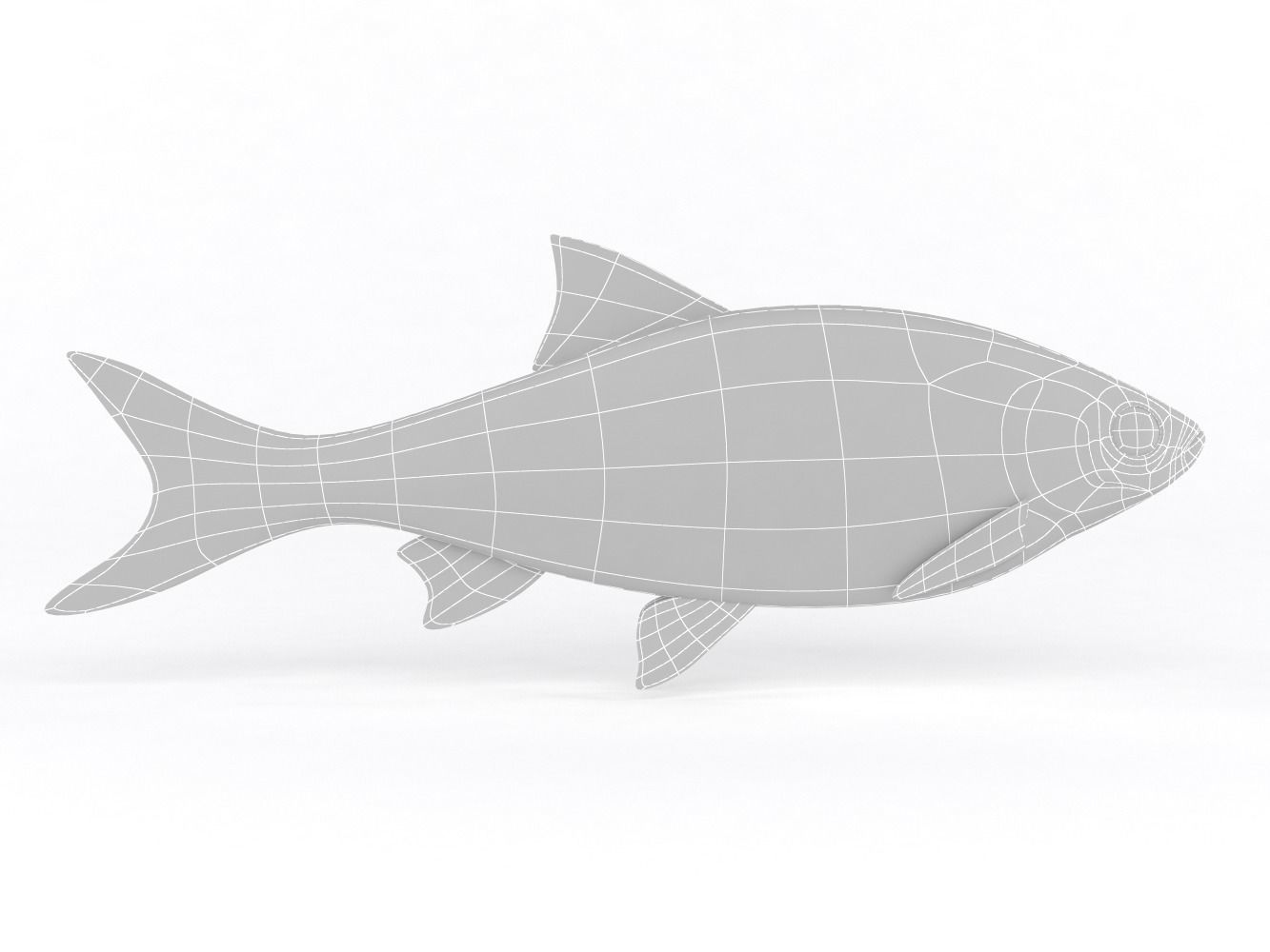 Roach Fish 3D model_5
