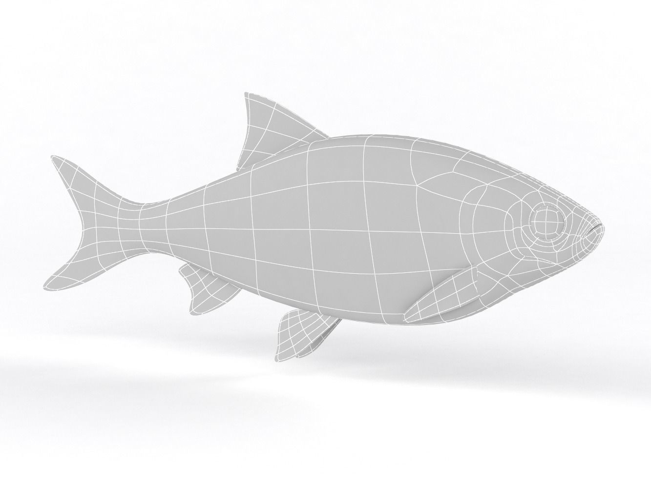 Roach Fish 3D model_7