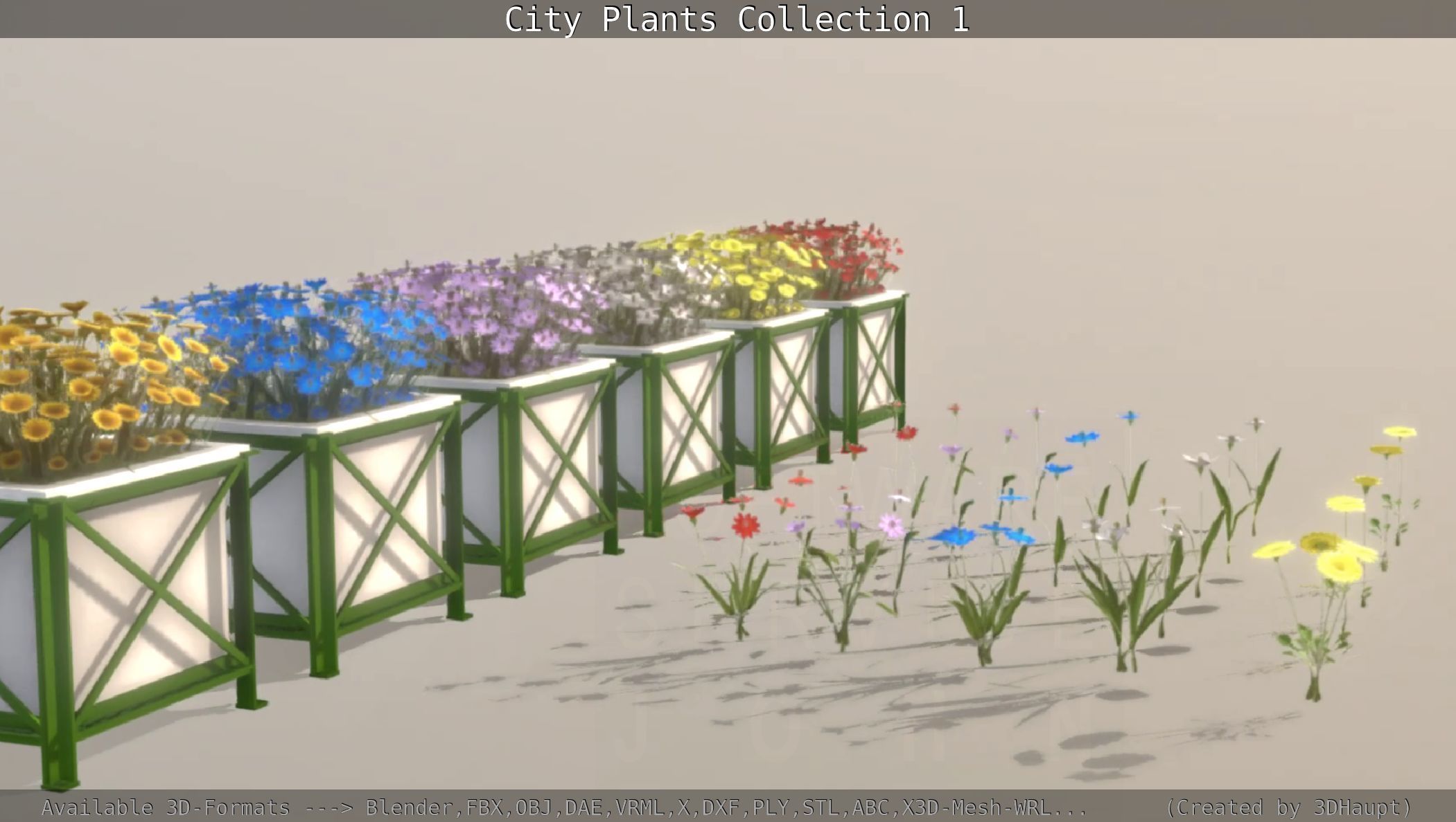 City Plants Collection 1 _52