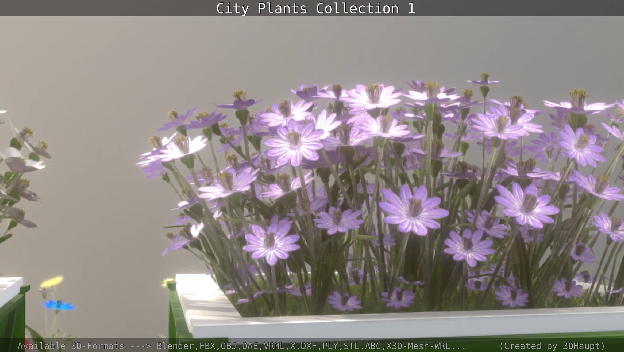 City Plants Collection 1 _101