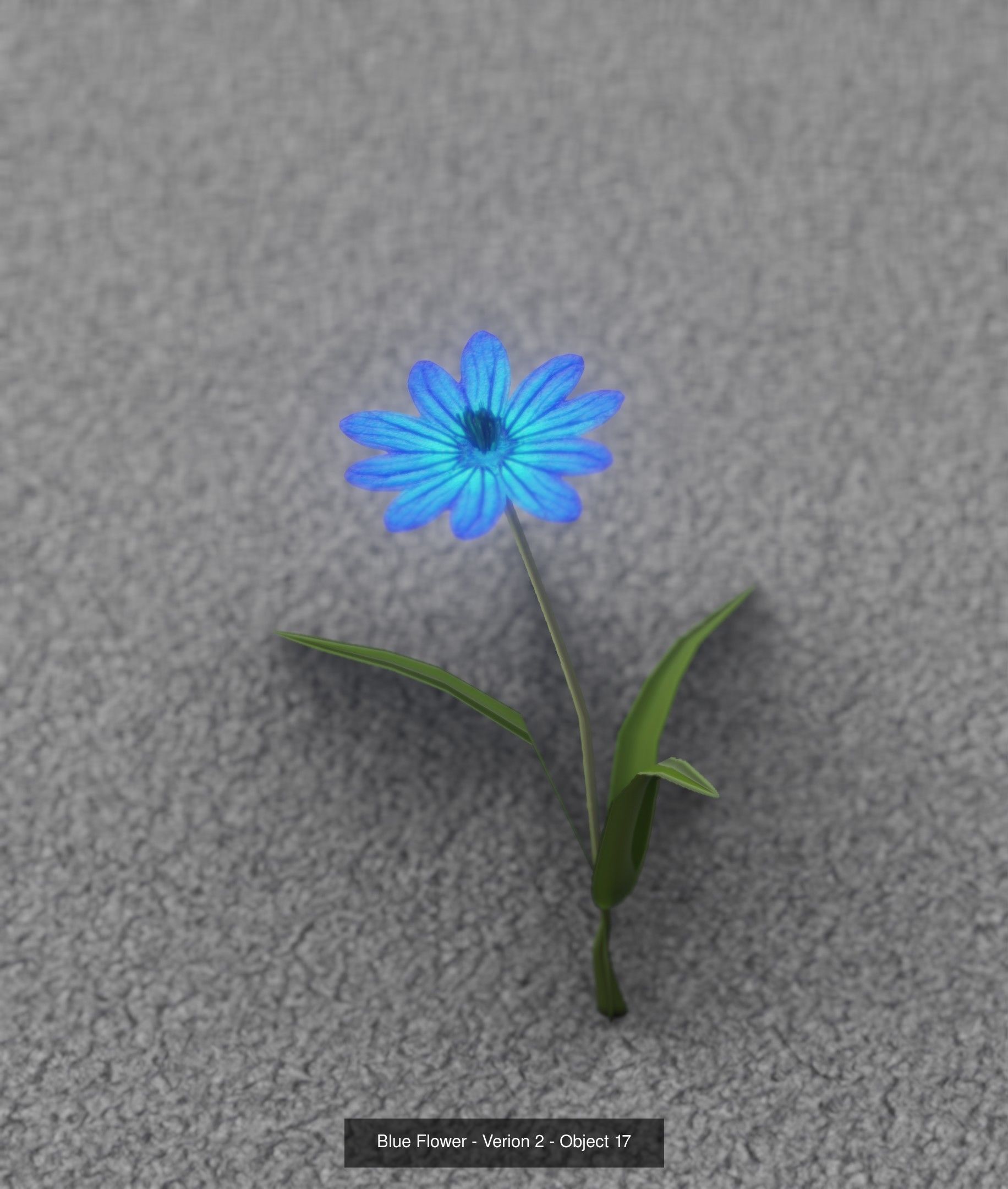 City Plants Collection 1 _26