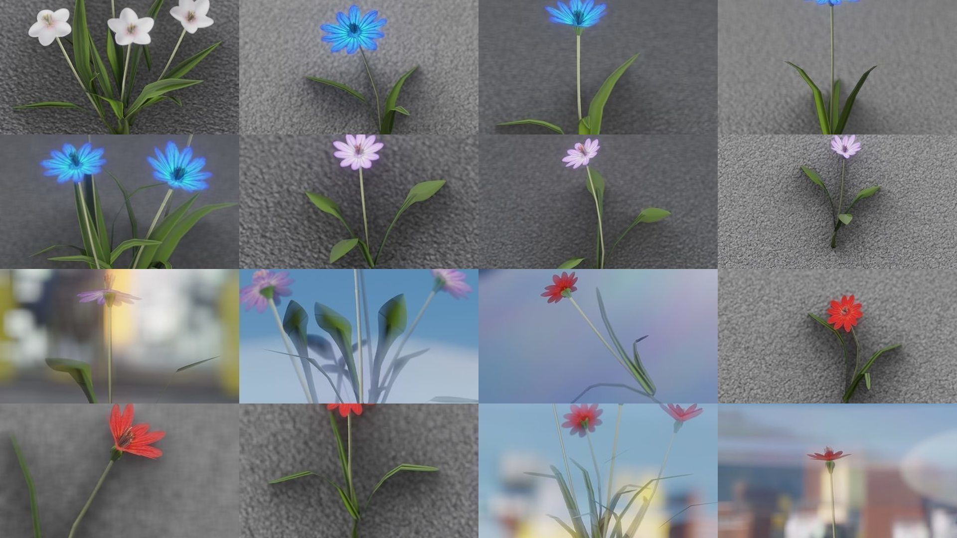 City Plants Collection 1 _6