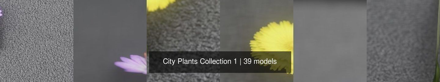 City Plants Collection 1 _9