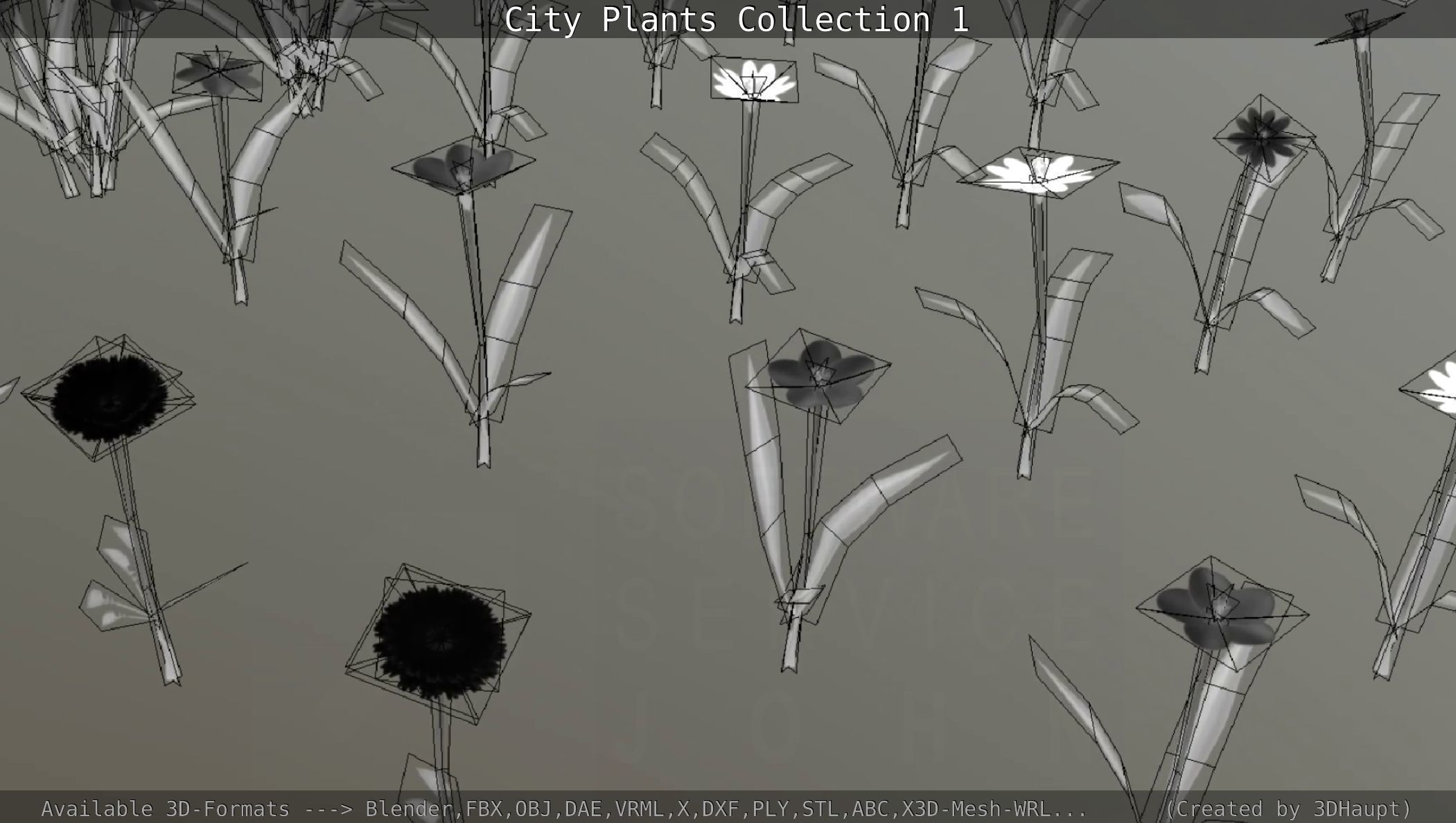 City Plants Collection 1 _105