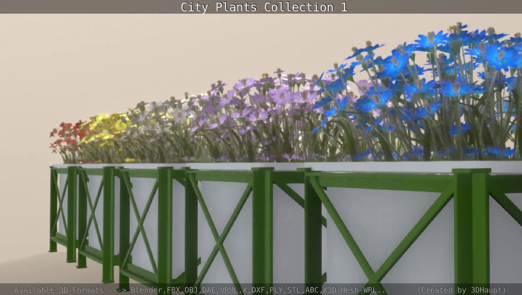 City Plants Collection 1 _79