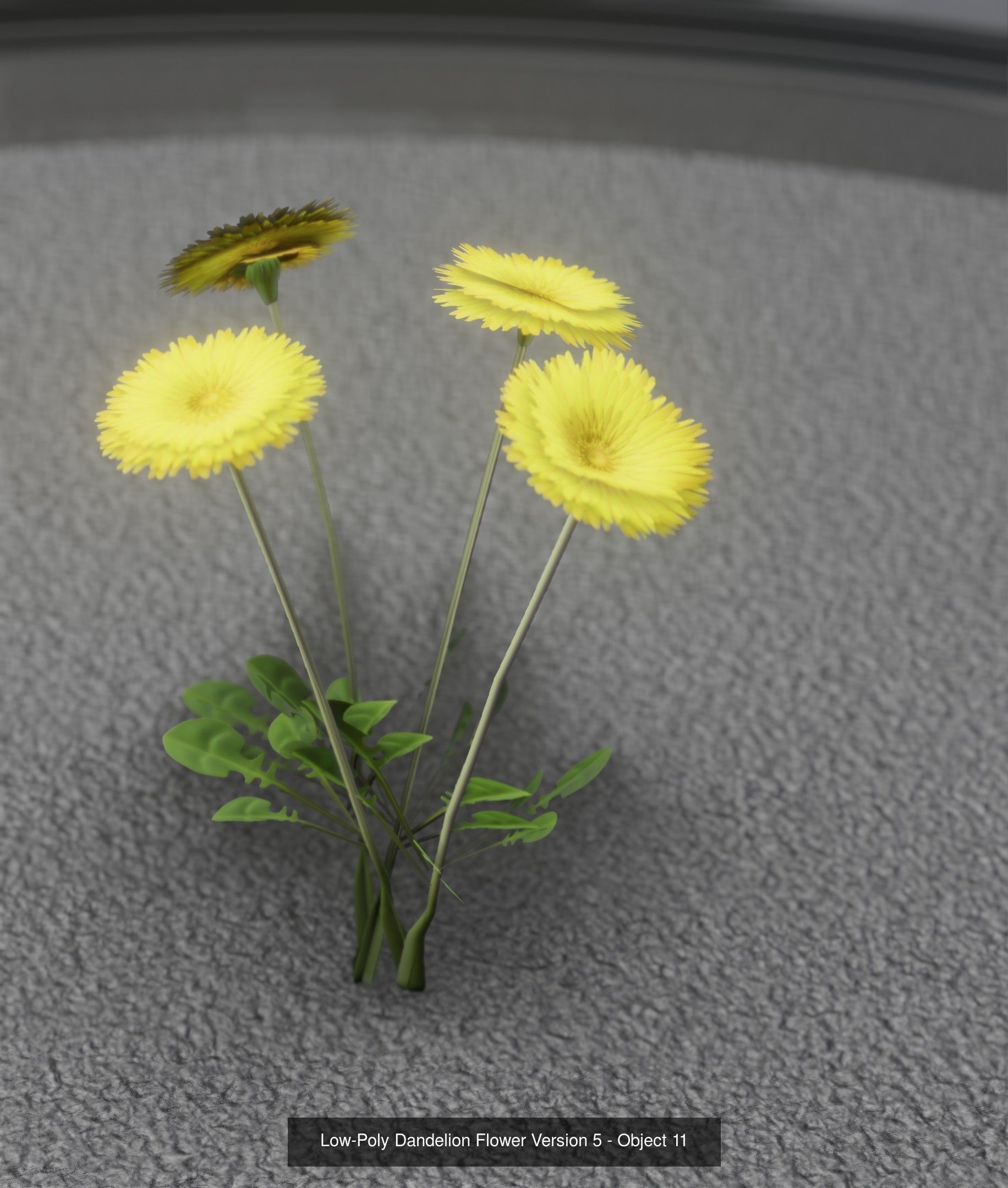 City Plants Collection 1 _19