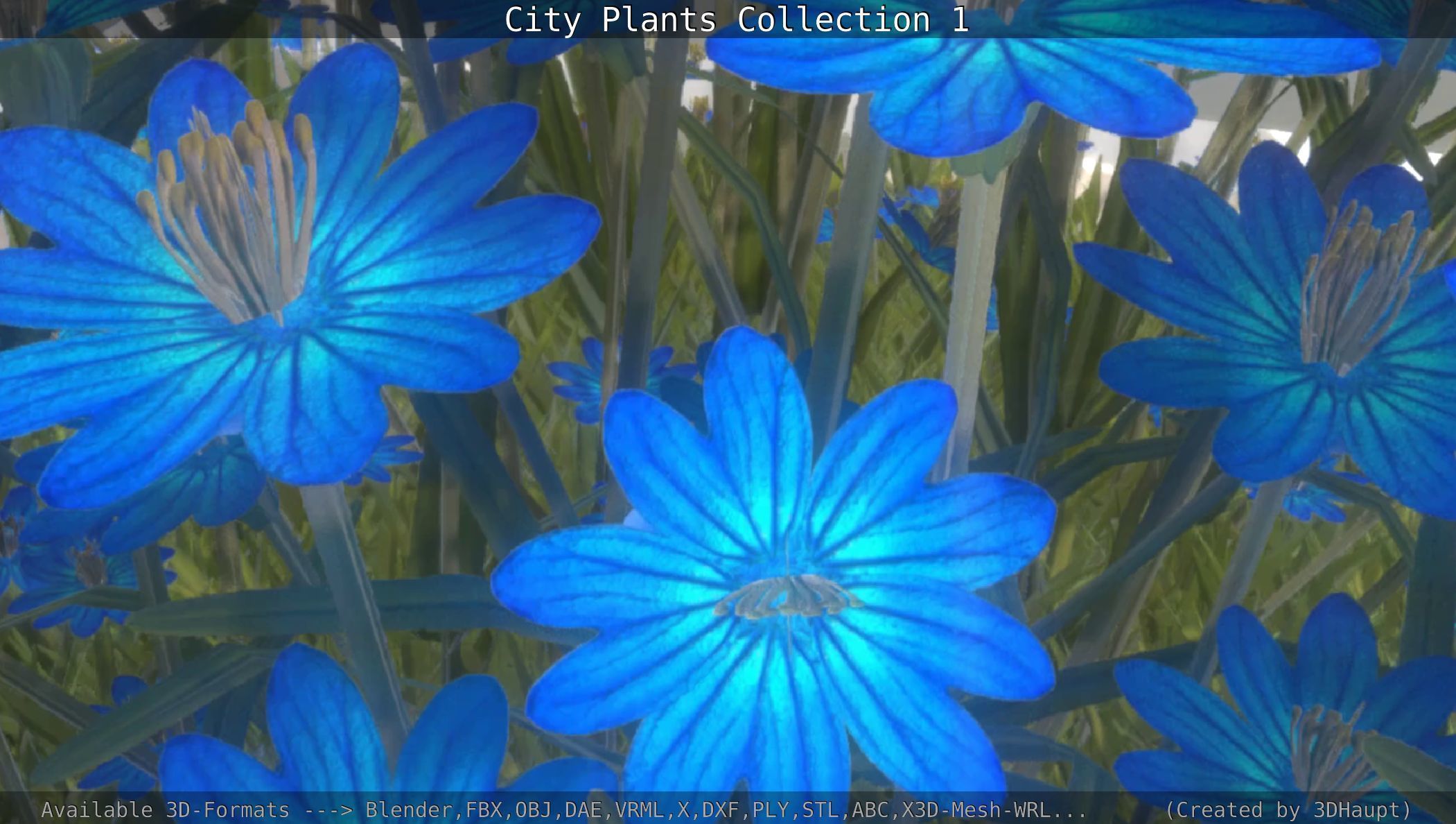City Plants Collection 1 _119