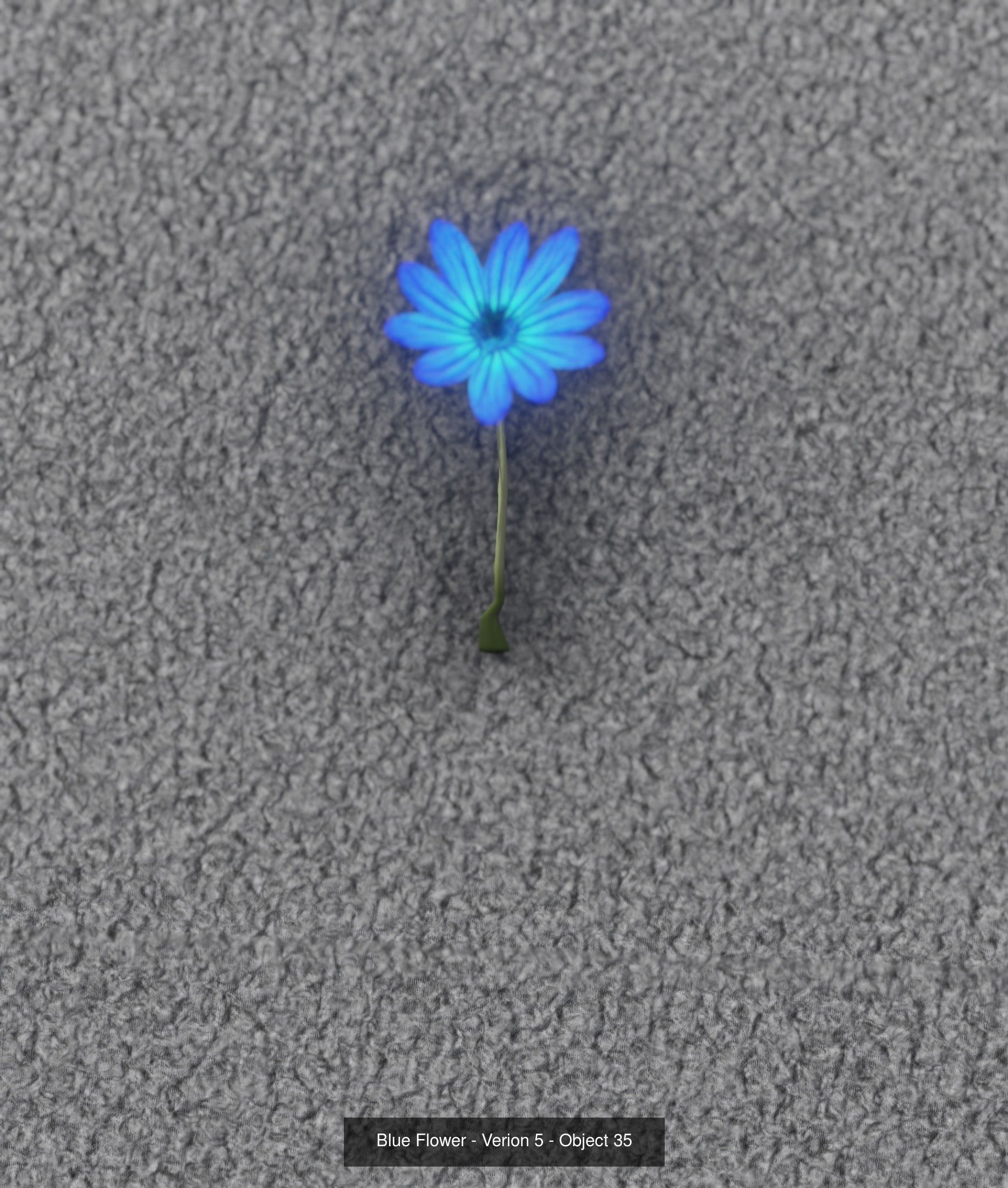 City Plants Collection 1 _44