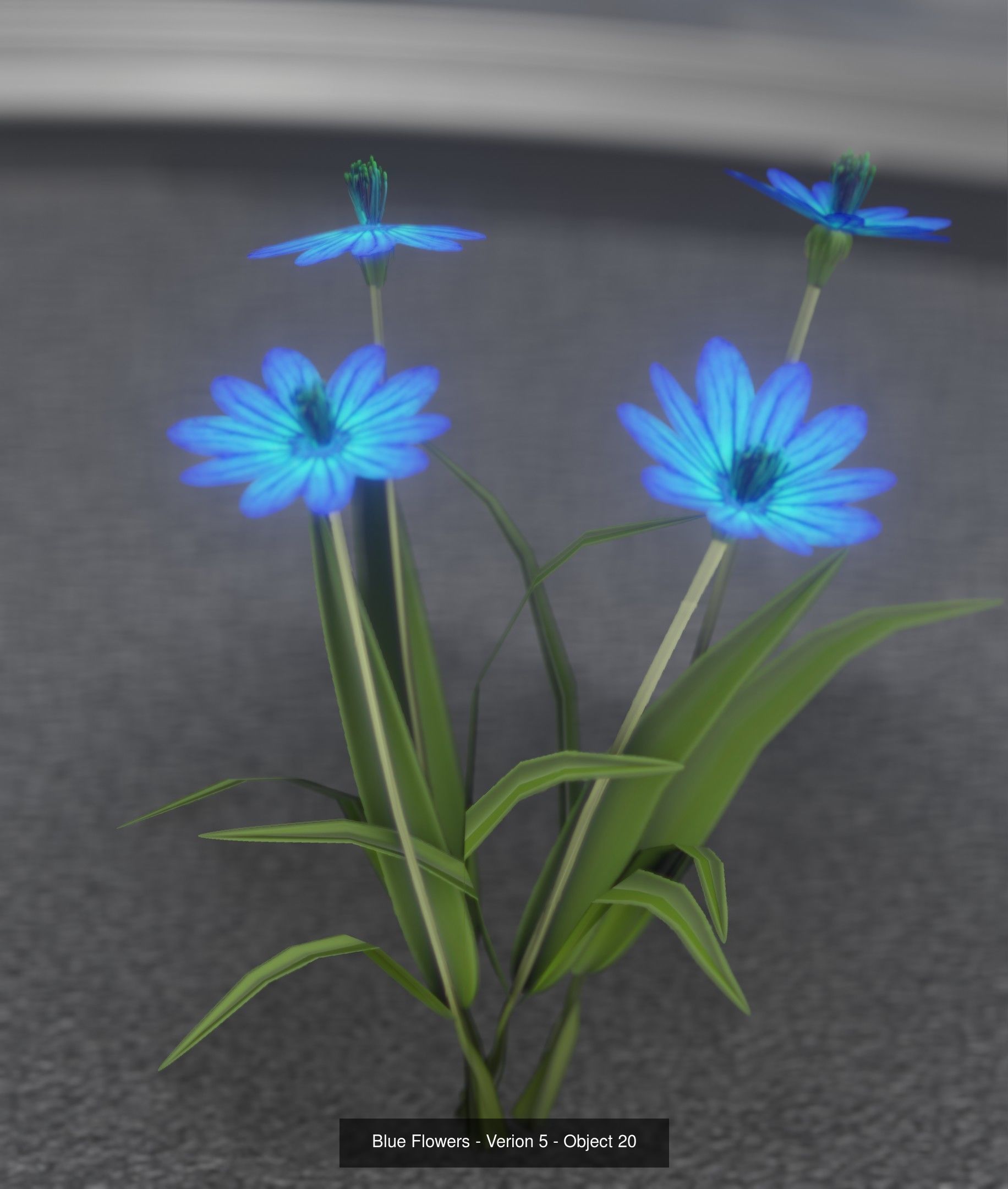 City Plants Collection 1 _29