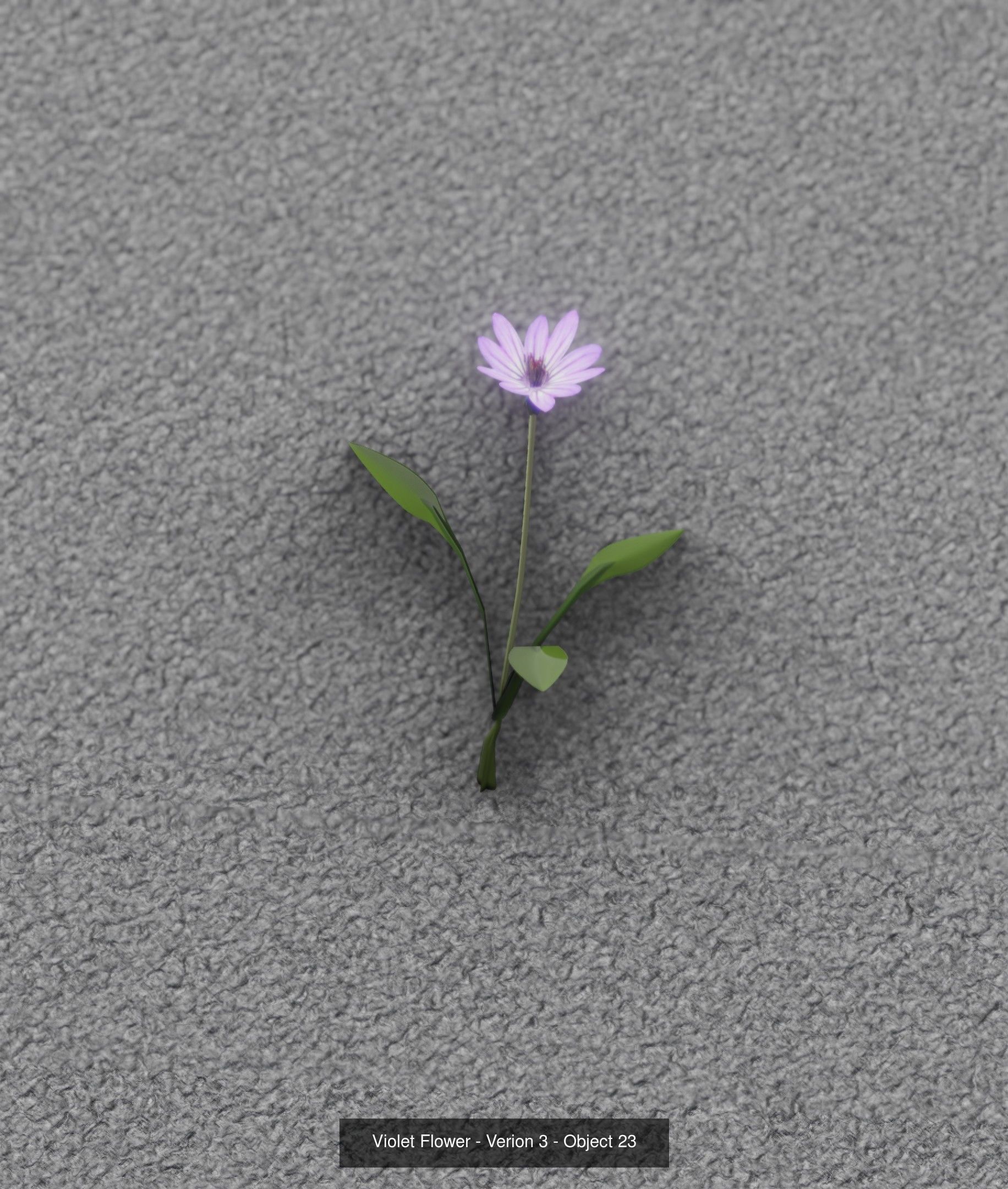 City Plants Collection 1 _32