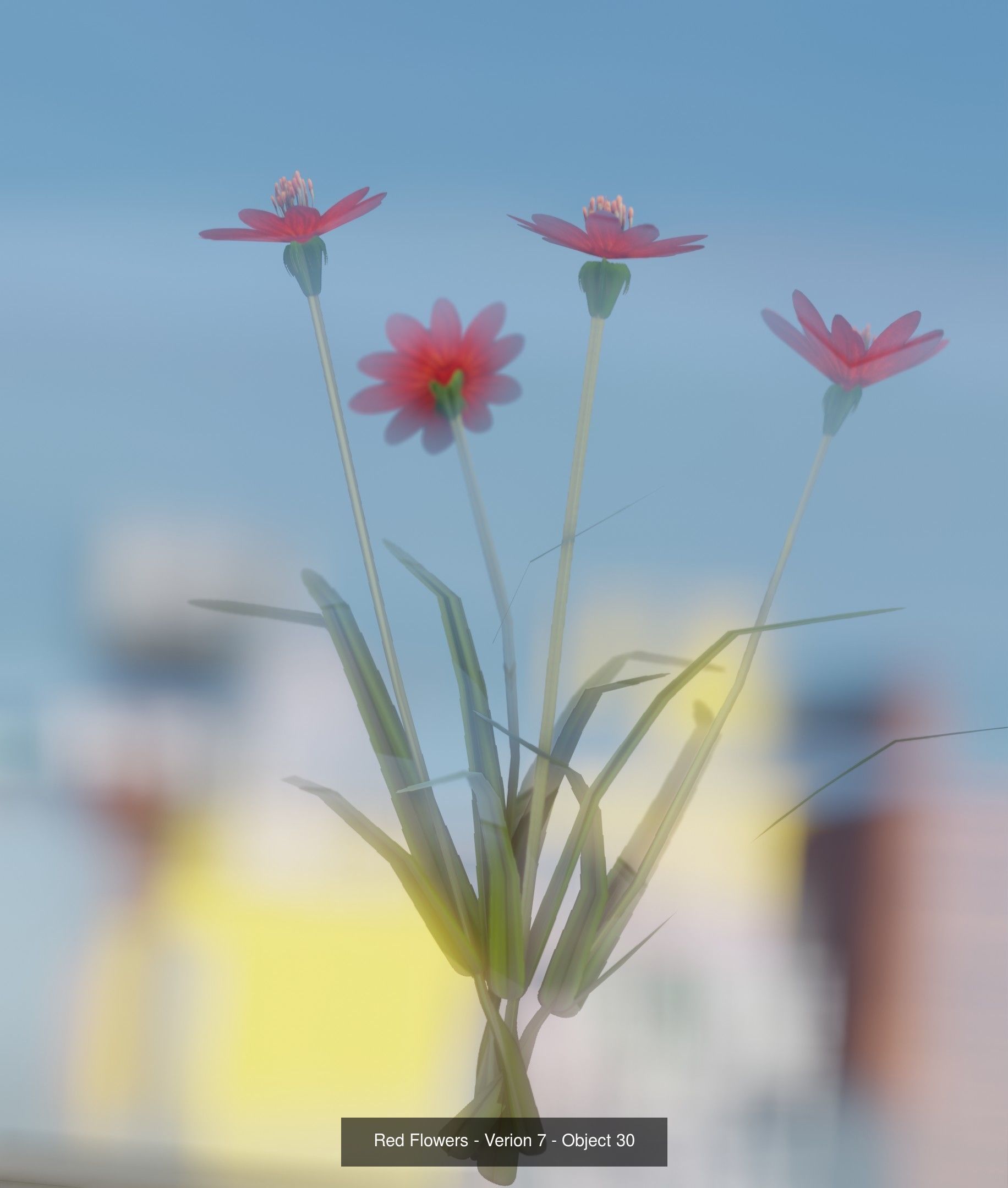 City Plants Collection 1 _39