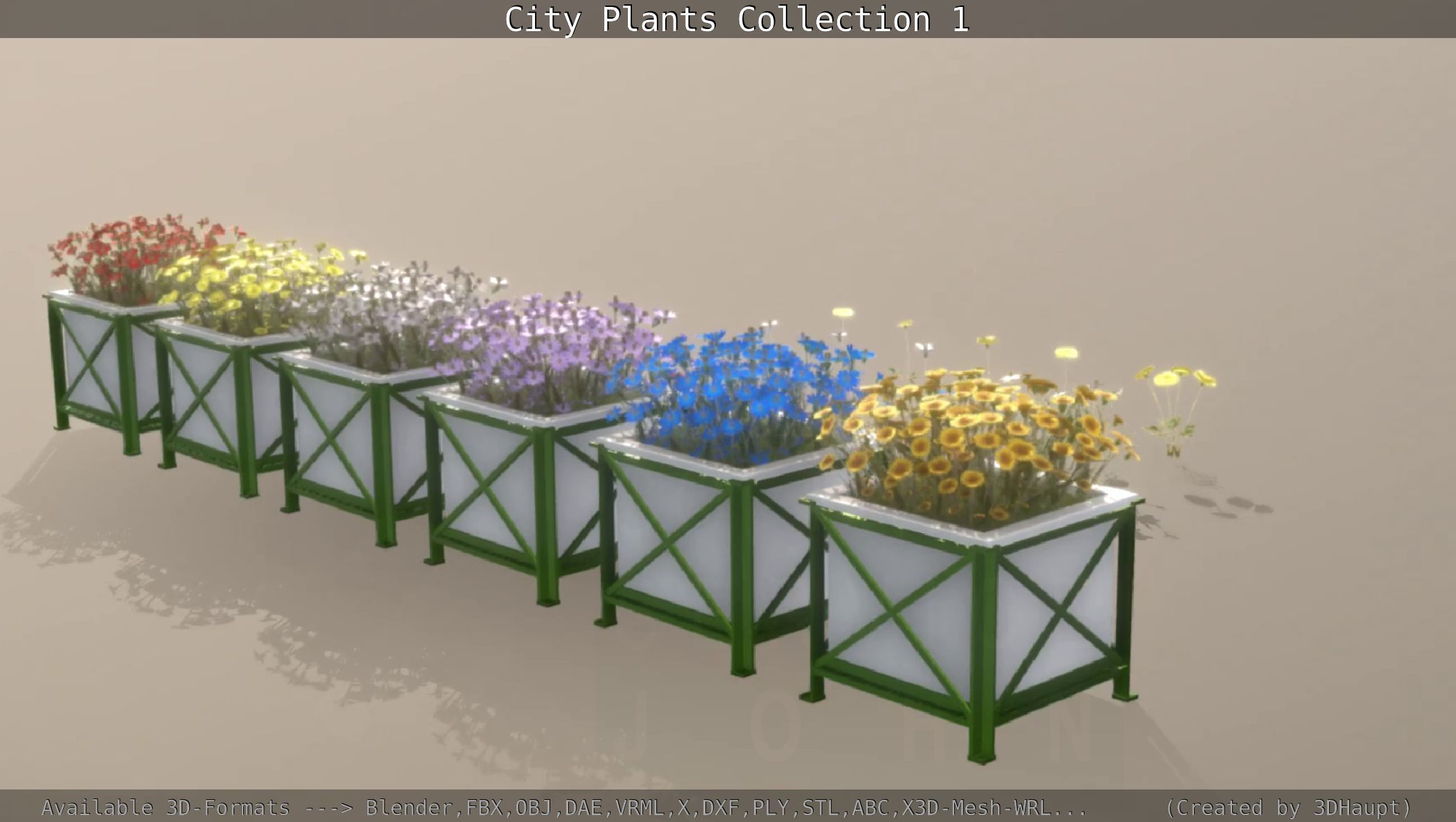 City Plants Collection 1 _49