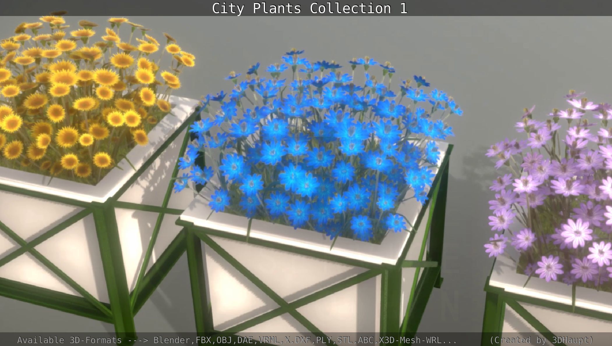 City Plants Collection 1 _121