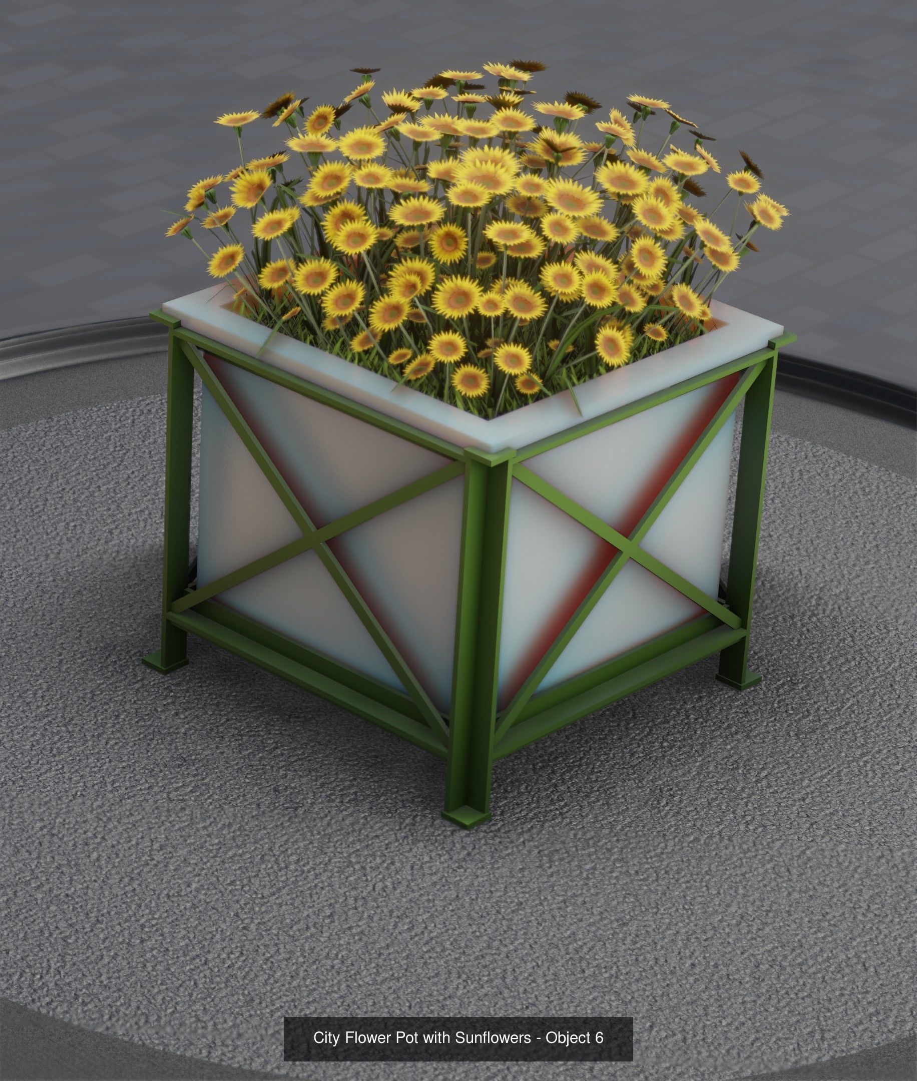 City Plants Collection 1 _14