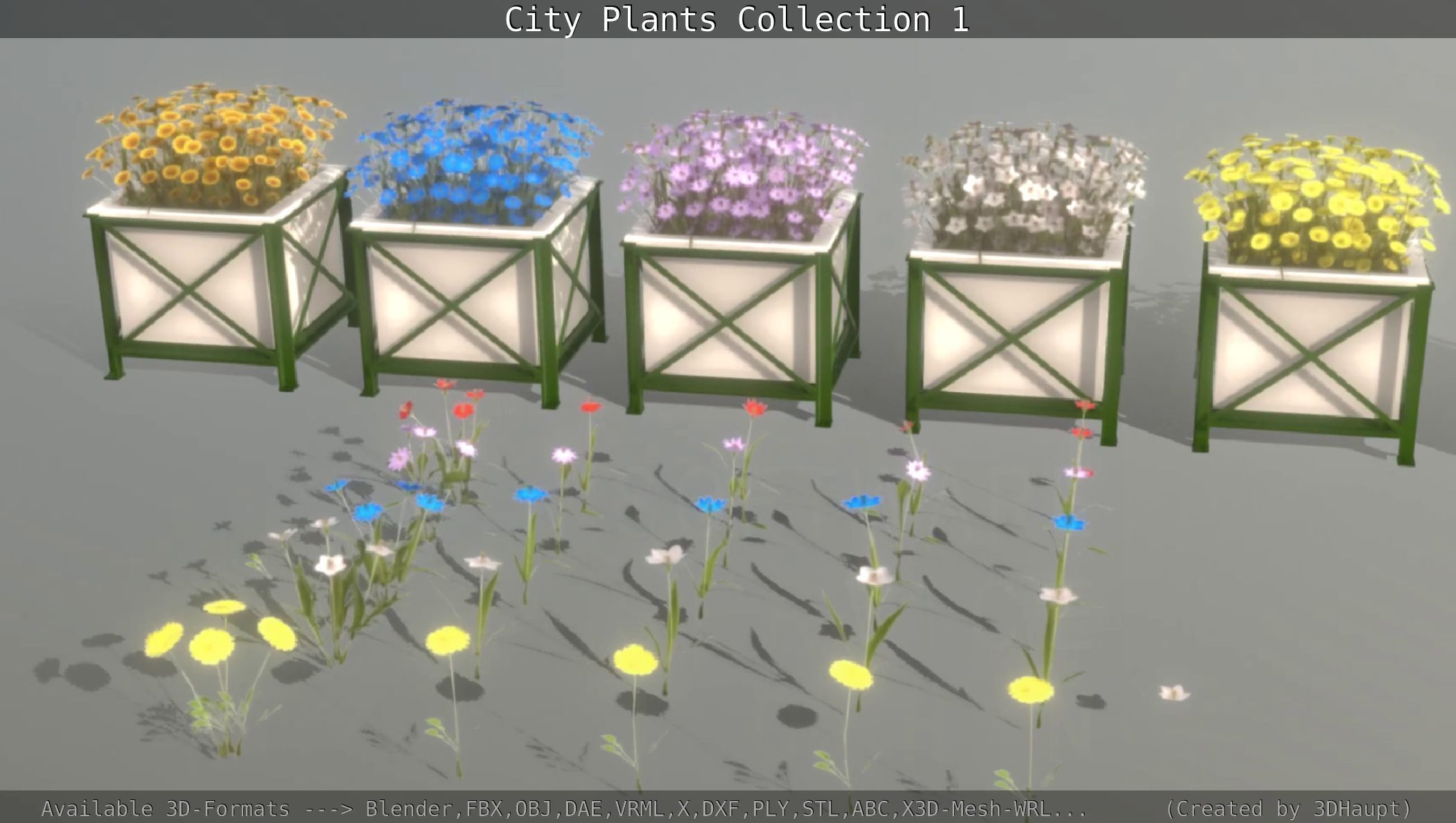 City Plants Collection 1 _82