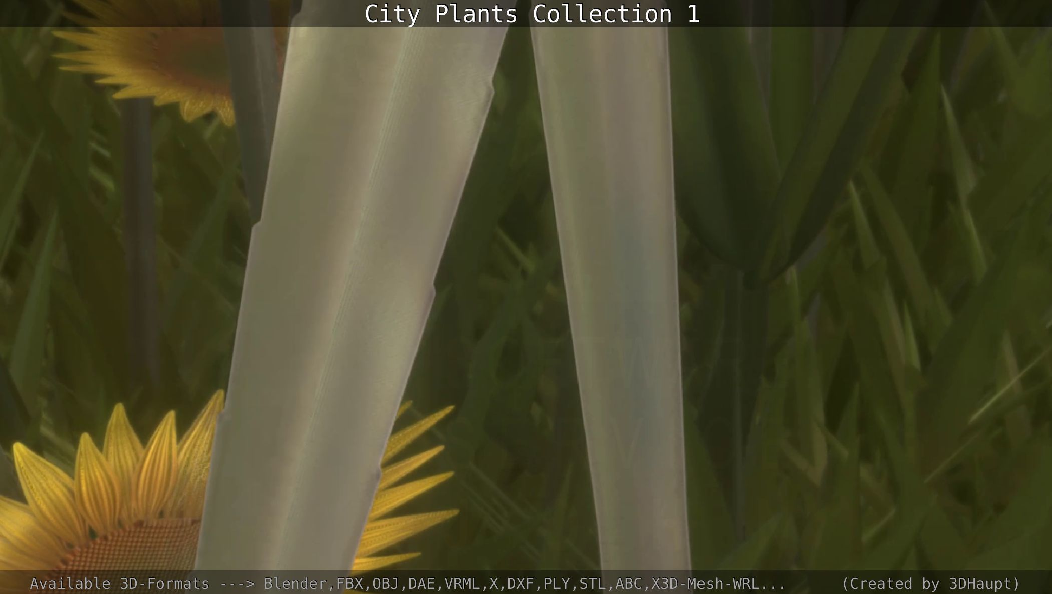 City Plants Collection 1 _113