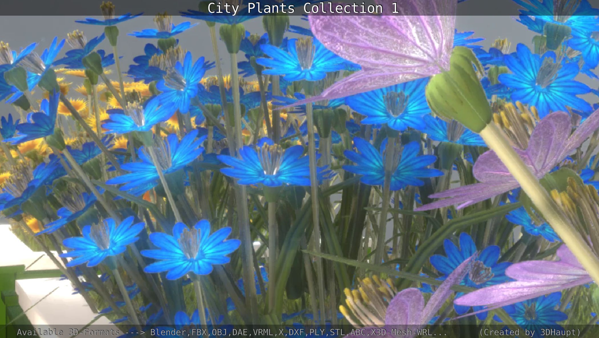 City Plants Collection 1 _51