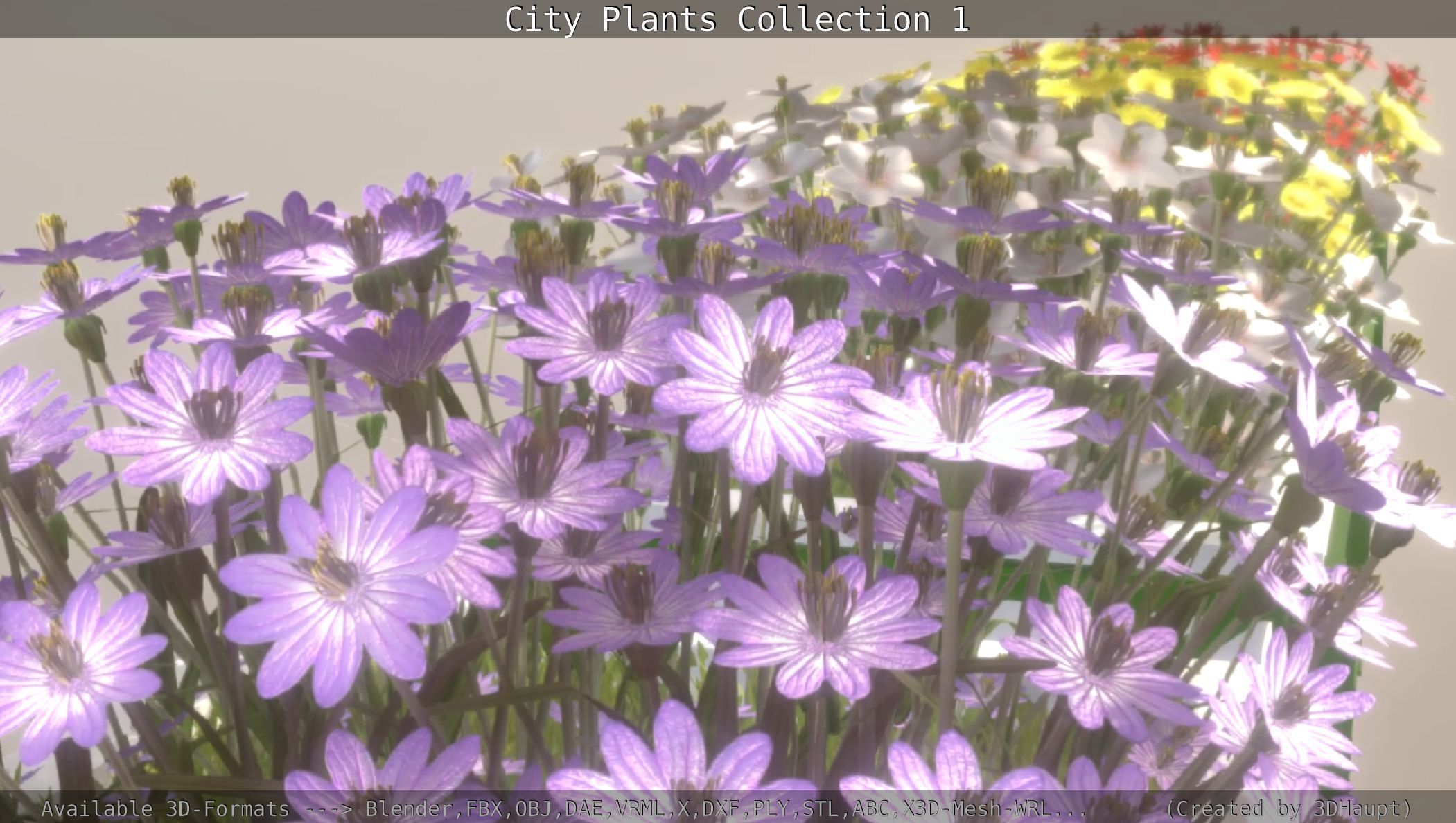 City Plants Collection 1 _99