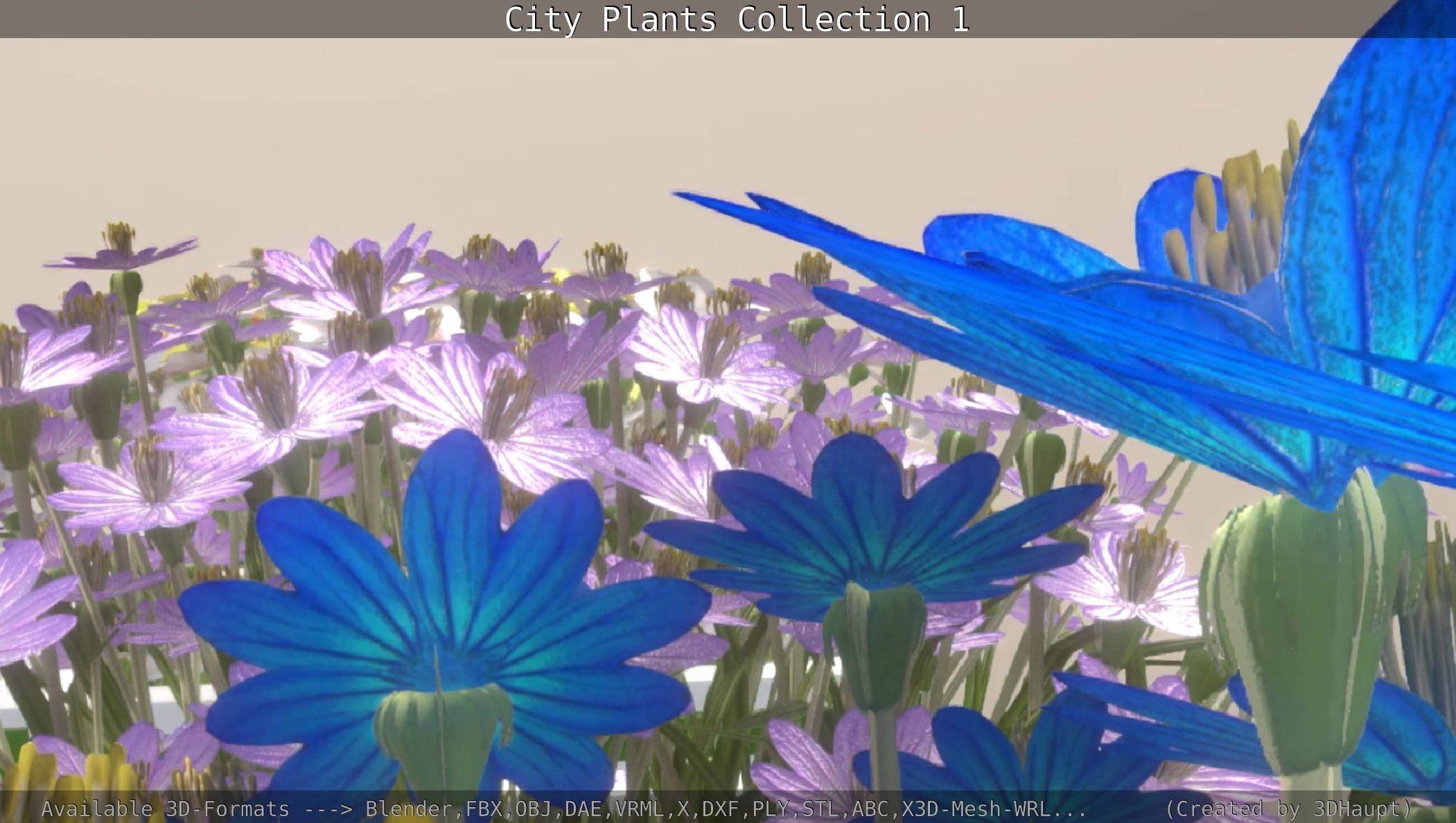 City Plants Collection 1 _104