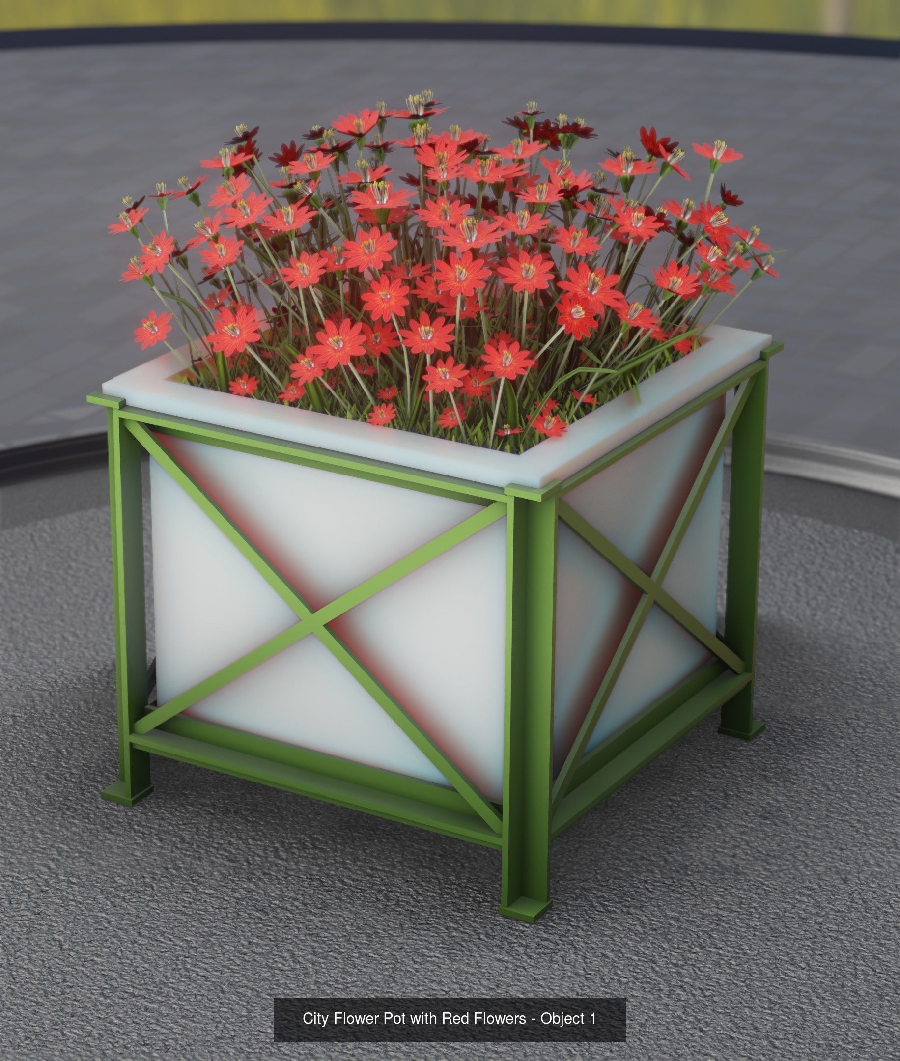 City Plants Collection 1 _3