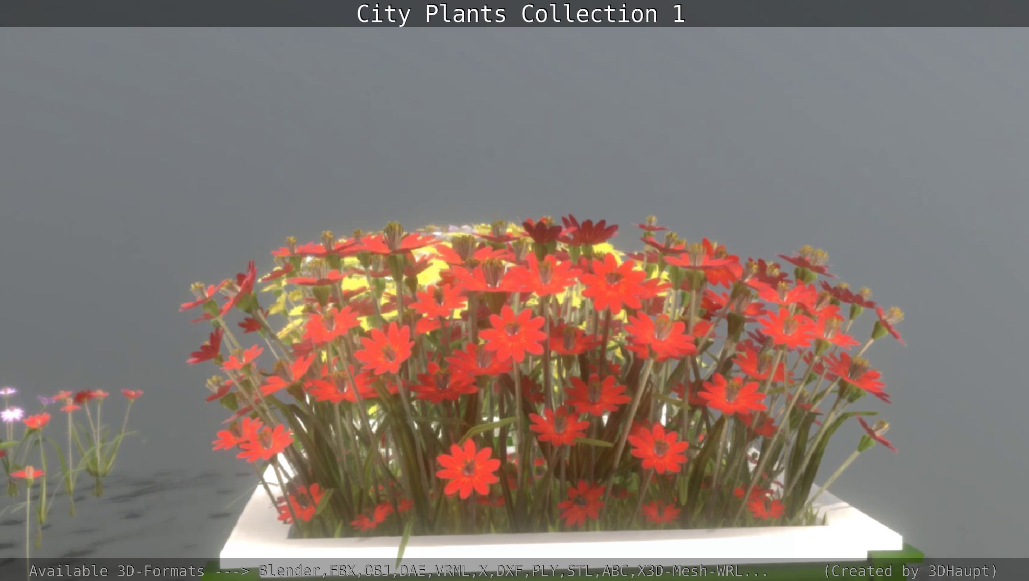 City Plants Collection 1 _69