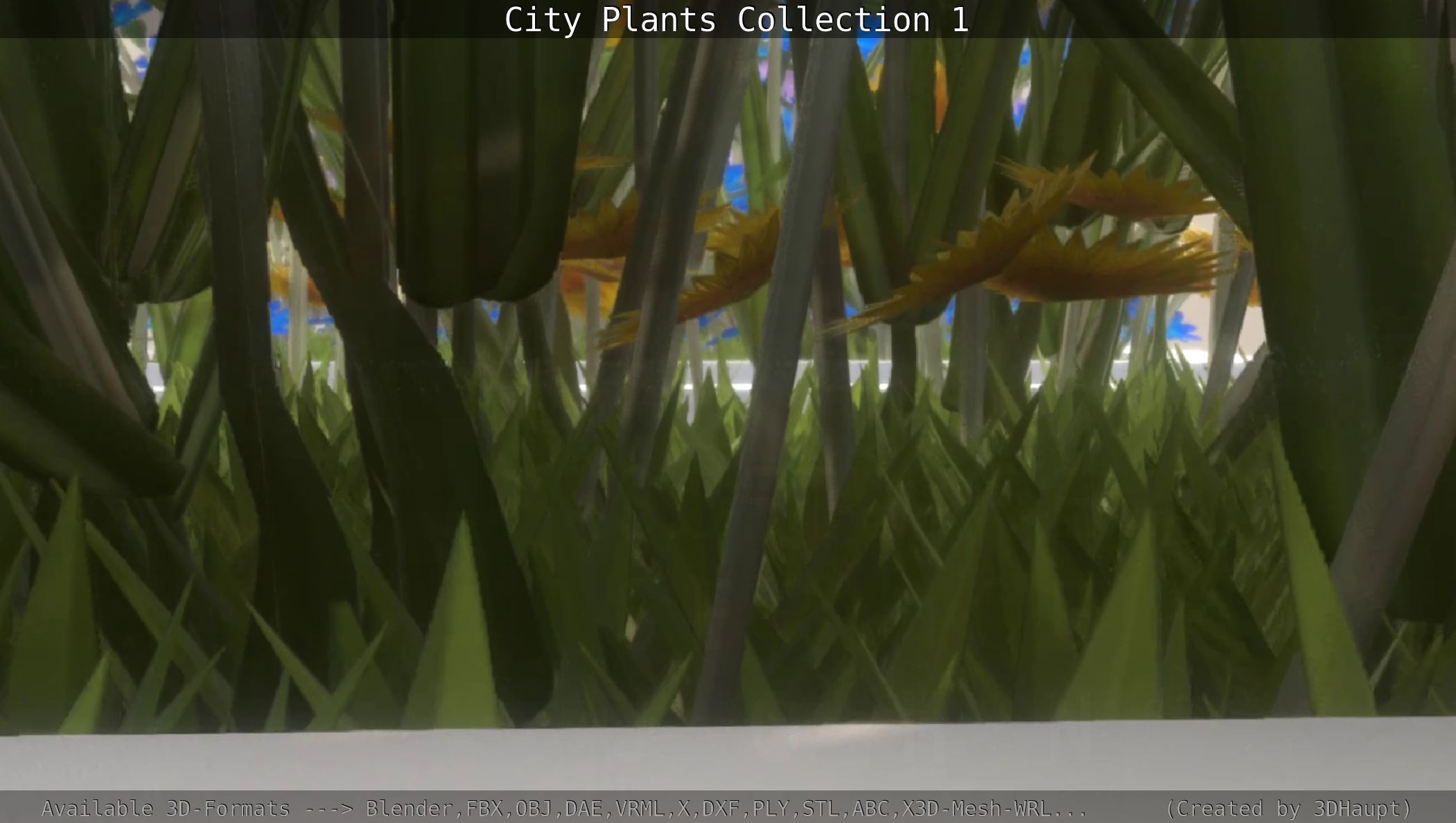 City Plants Collection 1 _112
