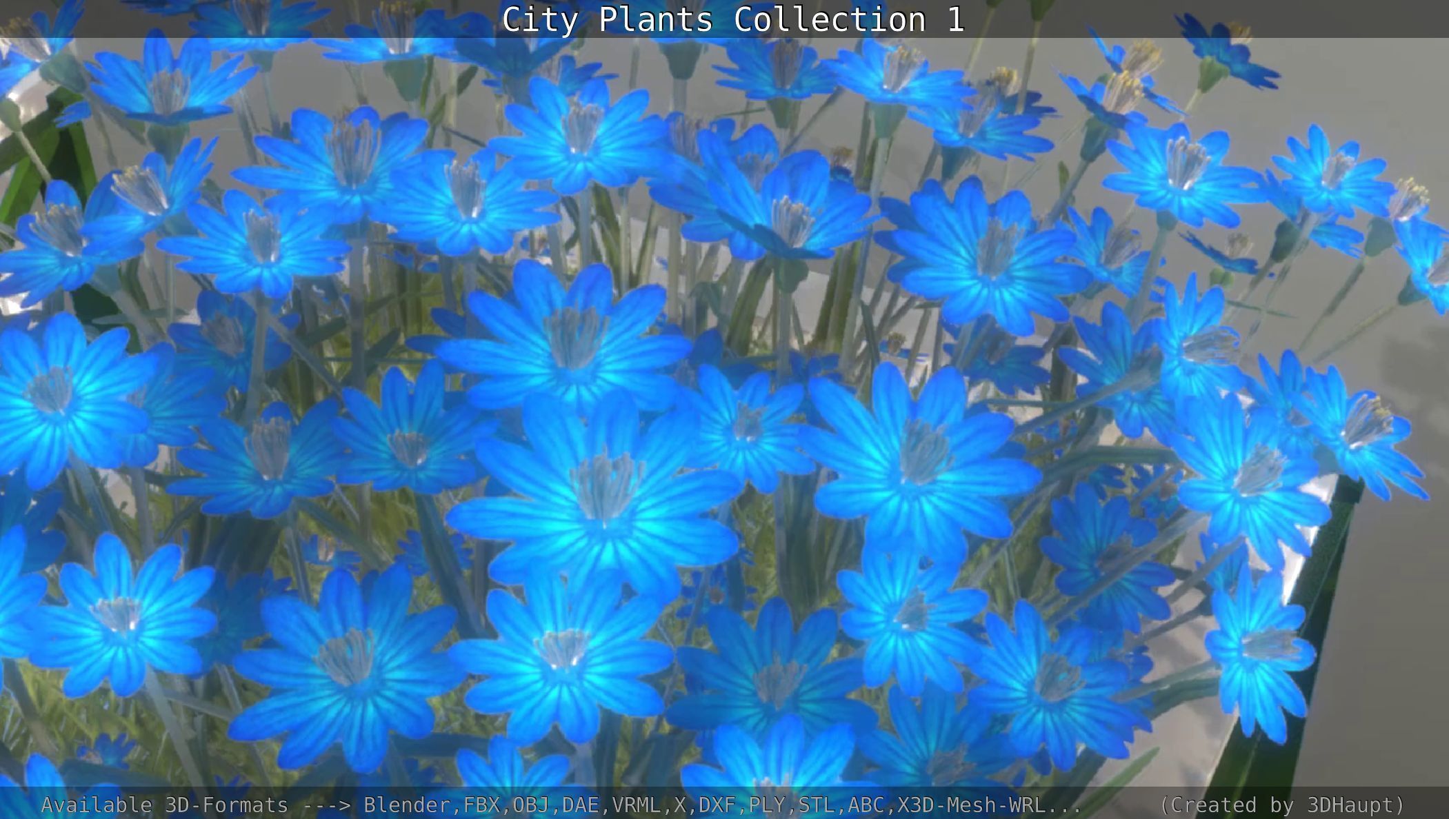 City Plants Collection 1 _114