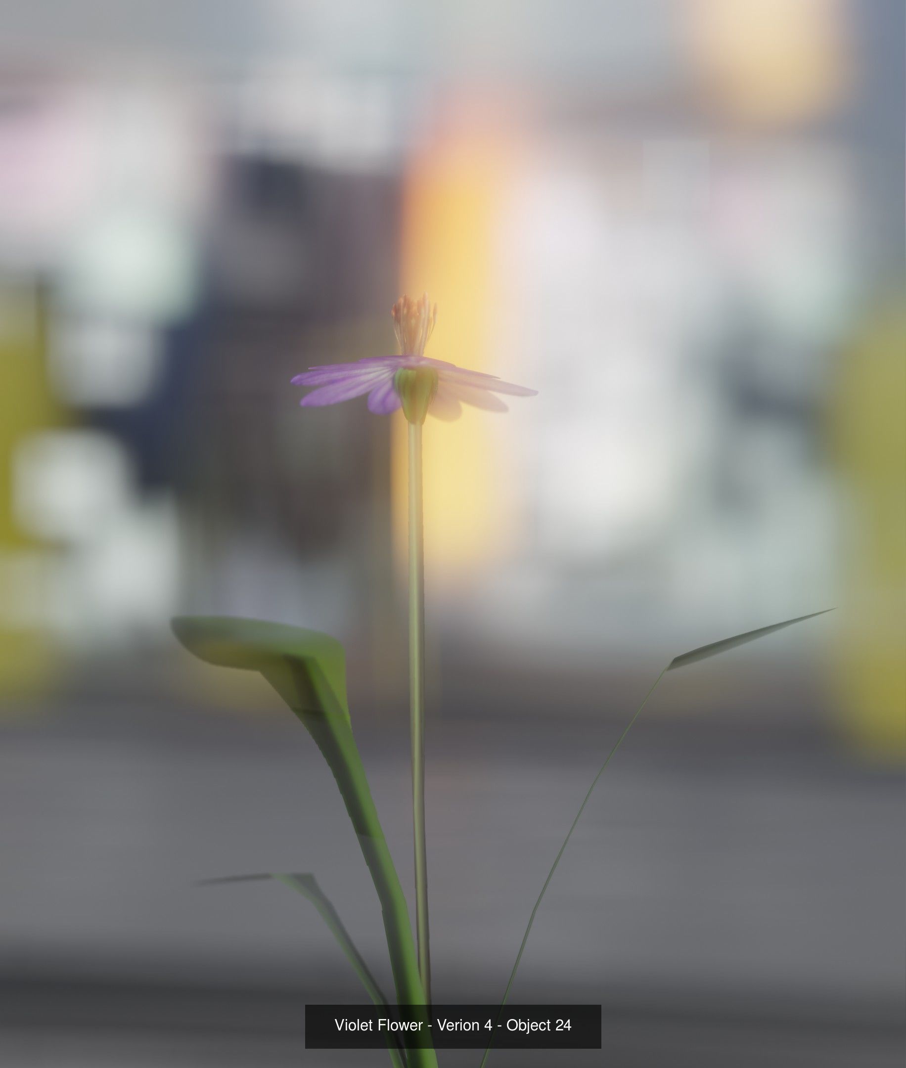 City Plants Collection 1 _33