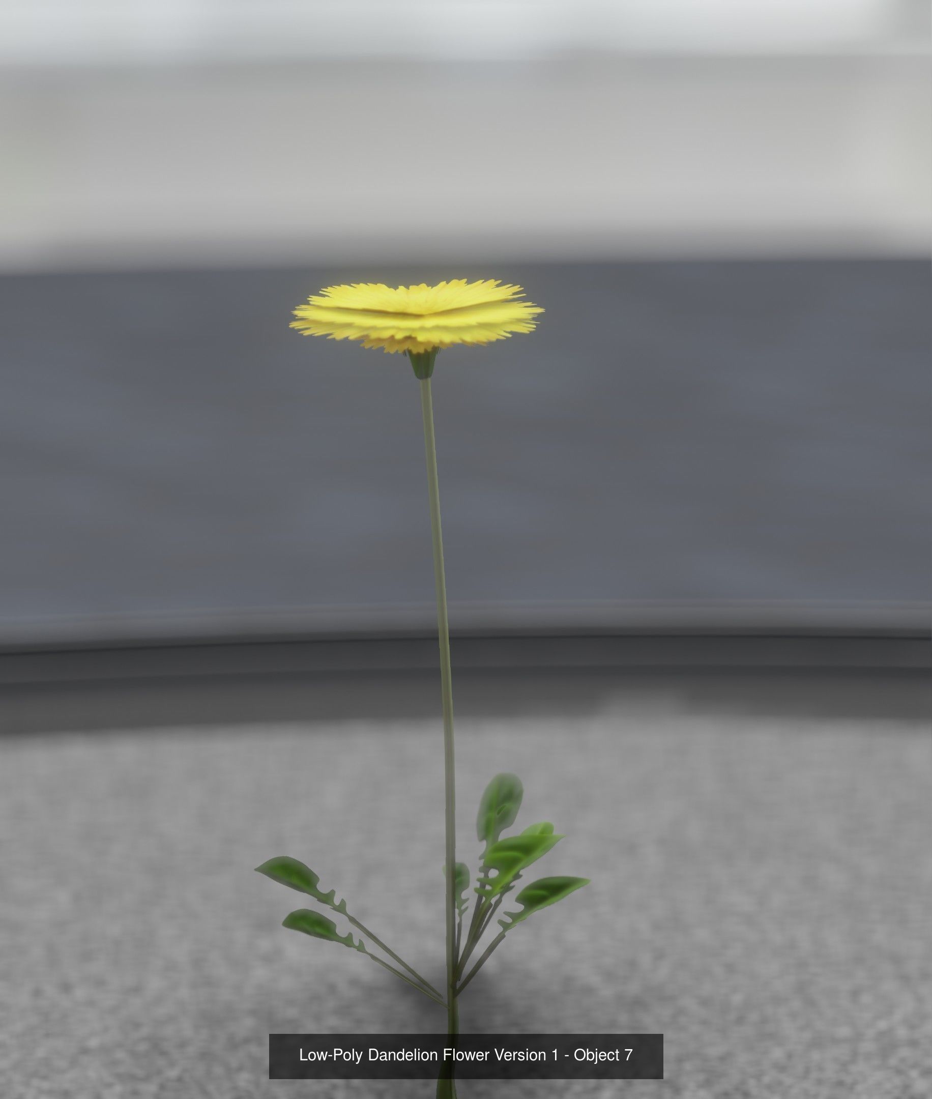 City Plants Collection 1 _15