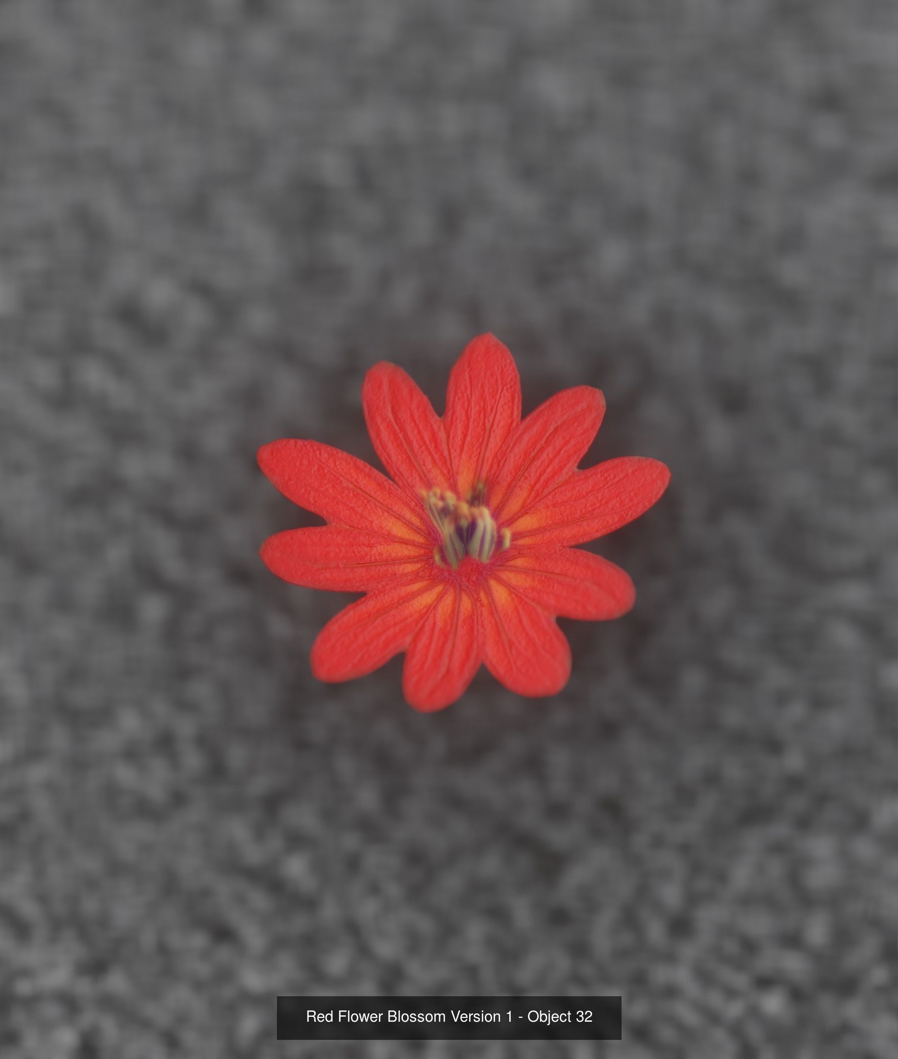 City Plants Collection 1 _41