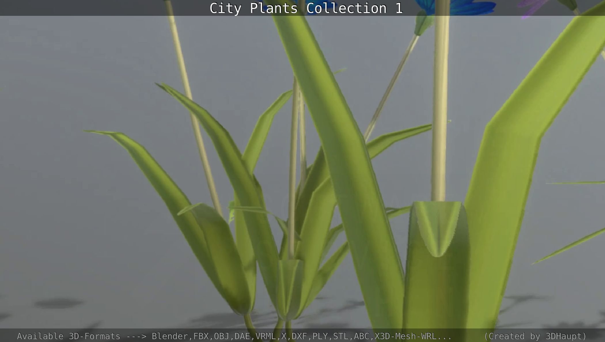 City Plants Collection 1 _89
