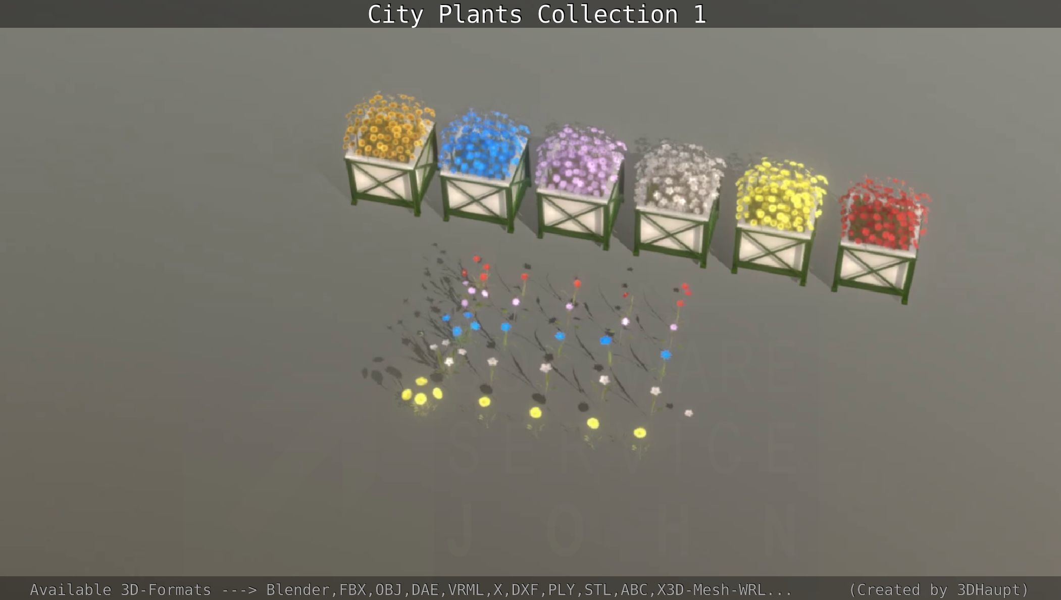 City Plants Collection 1 _83