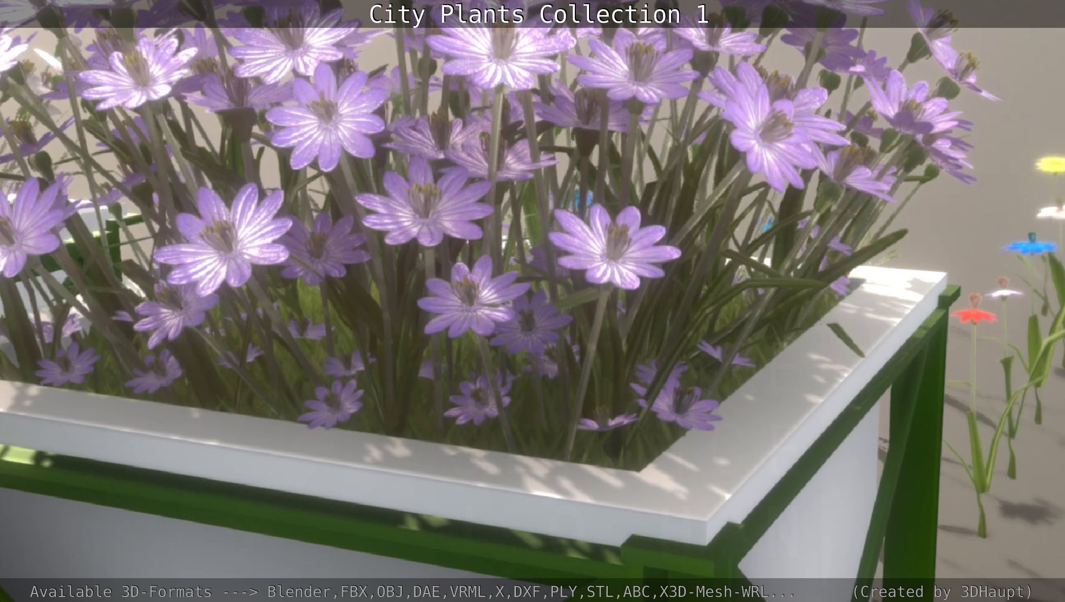 City Plants Collection 1 _53