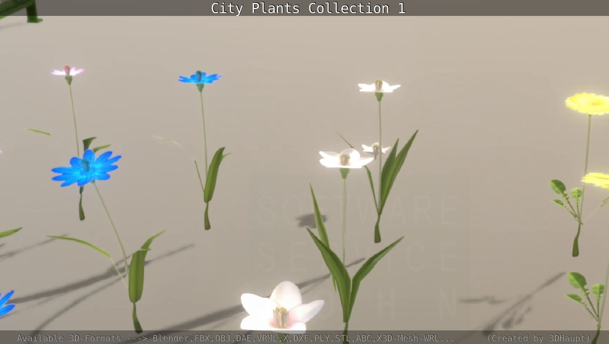 City Plants Collection 1 _62