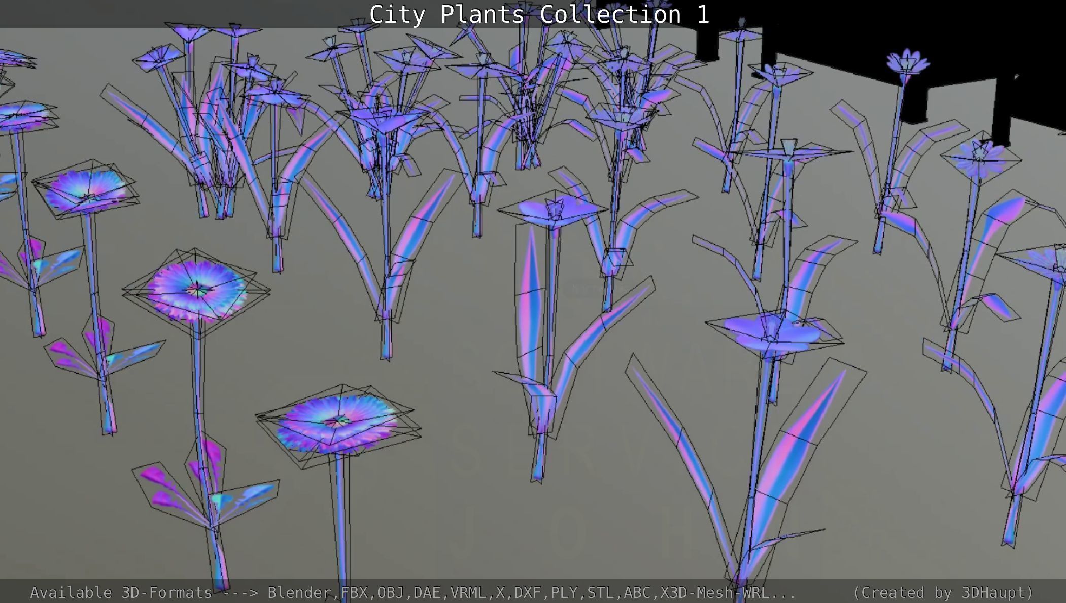 City Plants Collection 1 _55