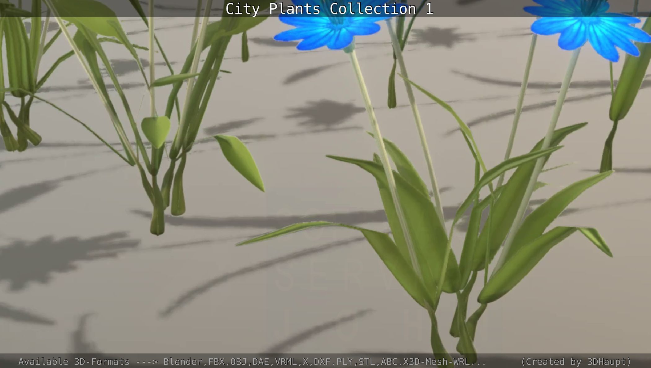 City Plants Collection 1 _66