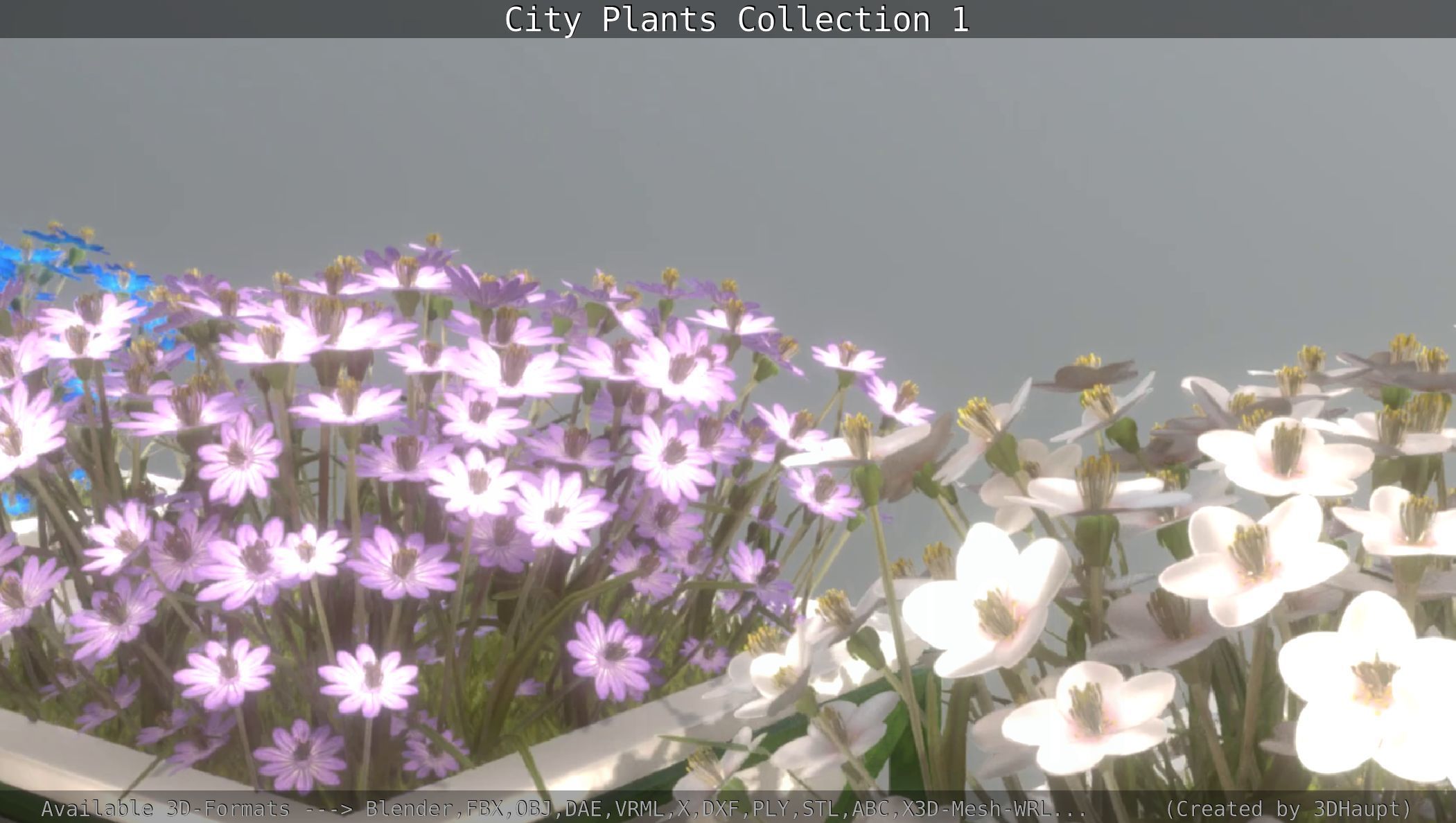 City Plants Collection 1 _103