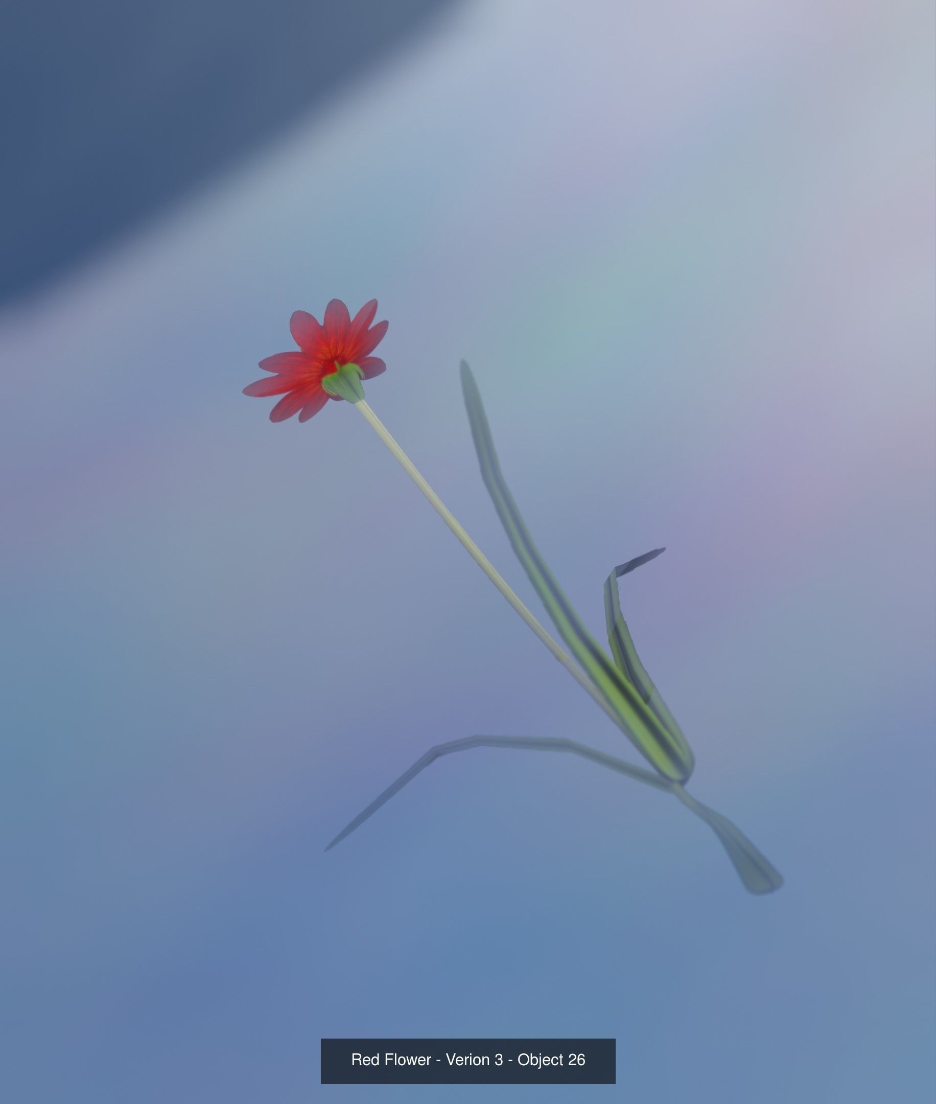 City Plants Collection 1 _35