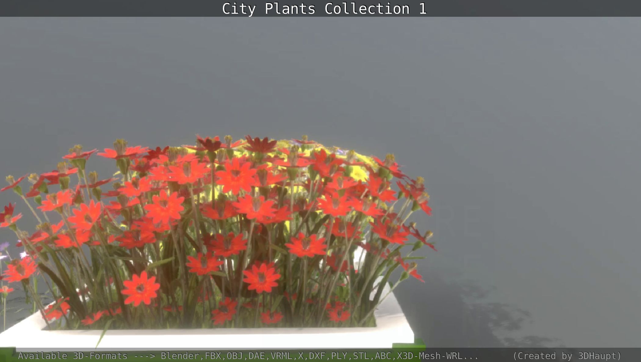 City Plants Collection 1 _108