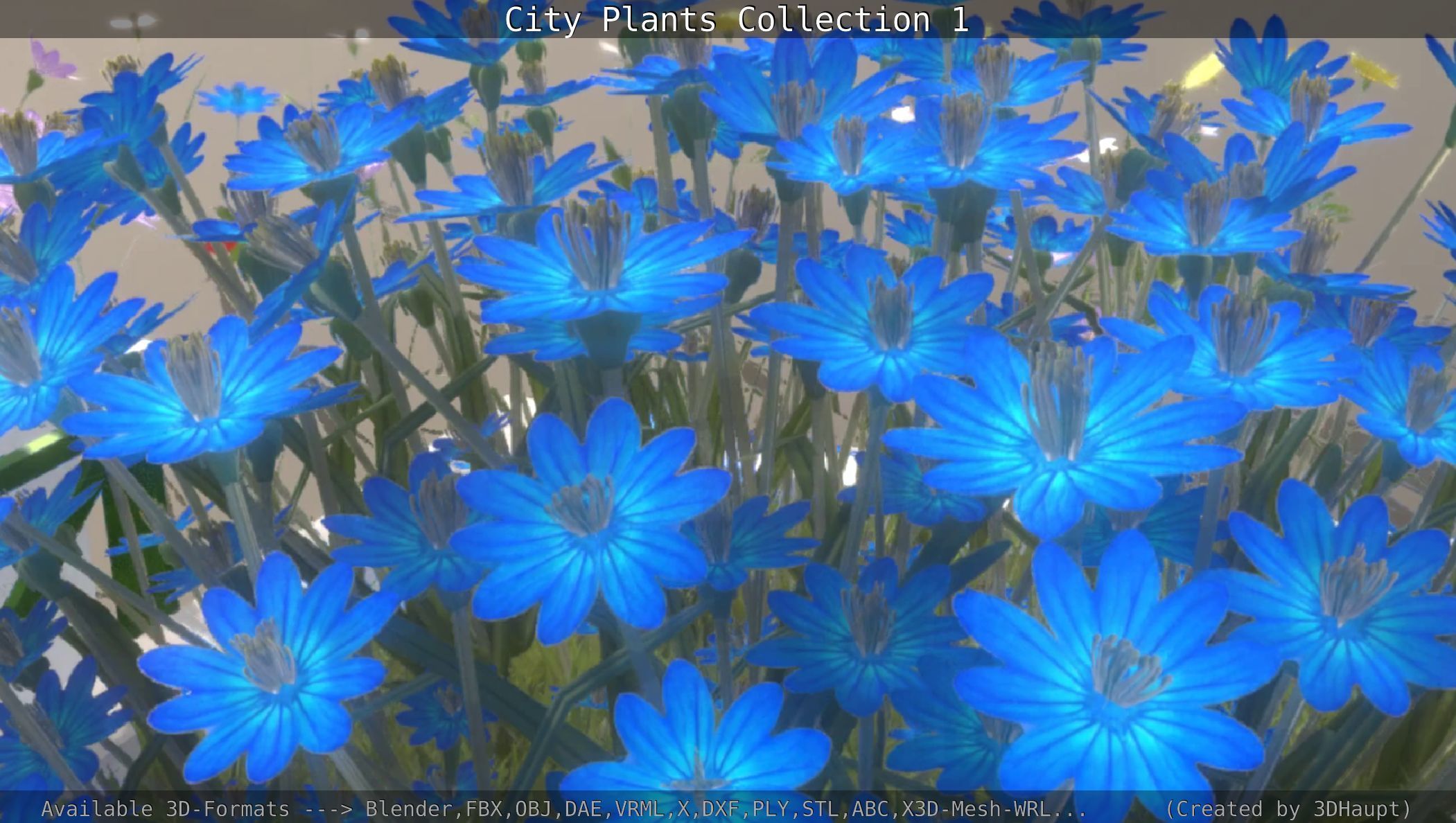 City Plants Collection 1 _78