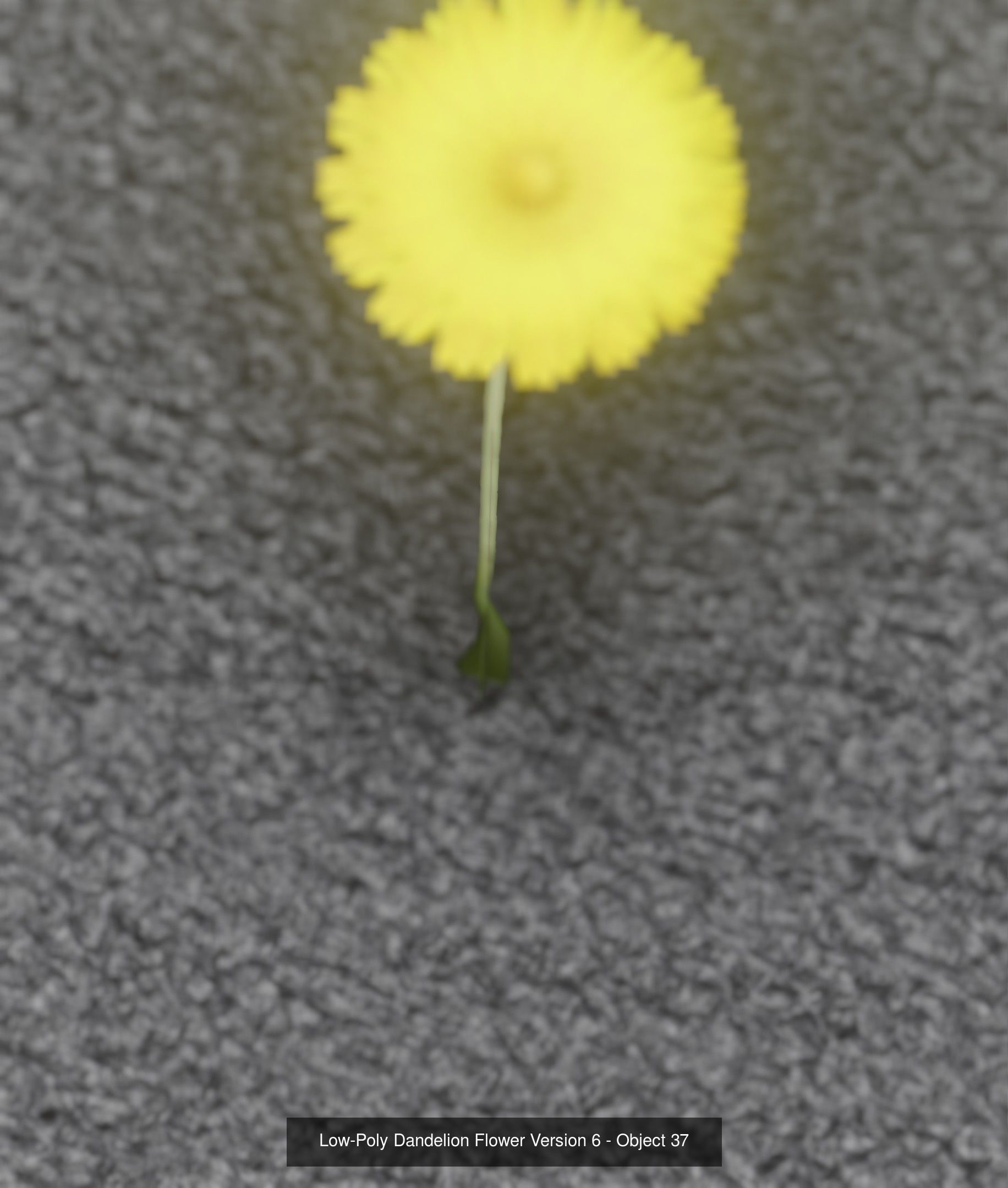 City Plants Collection 1 _46