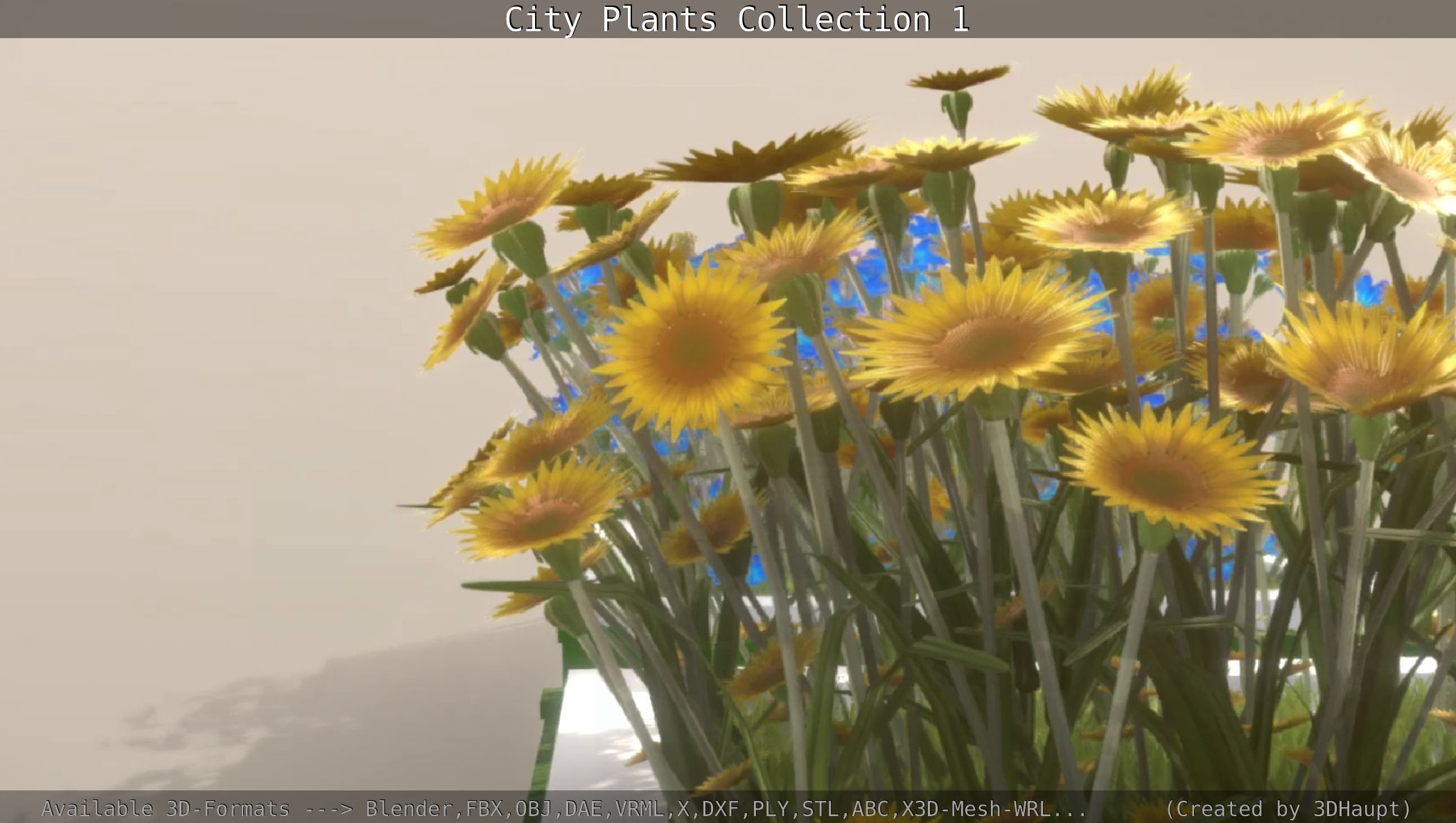 City Plants Collection 1 _70