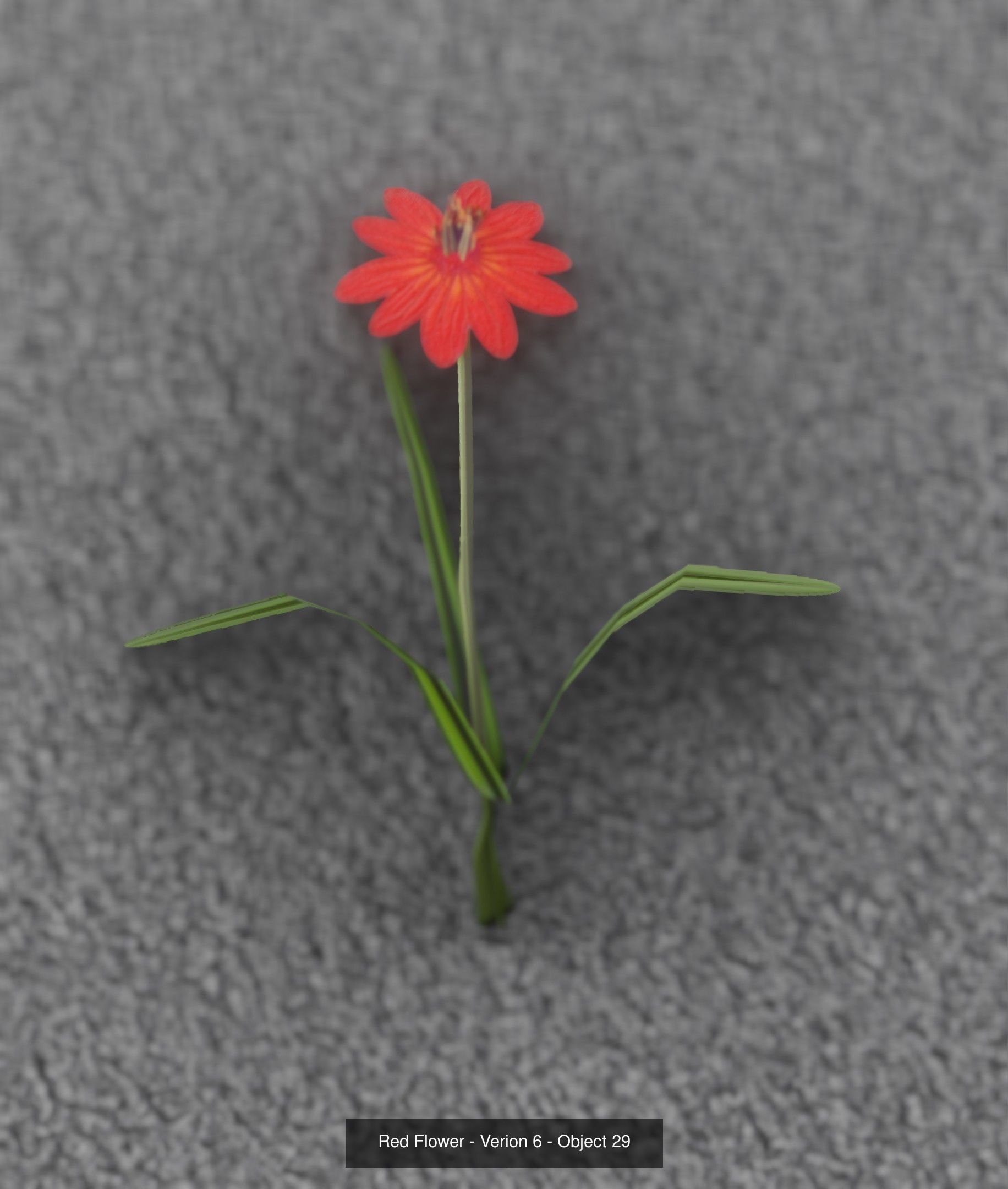 City Plants Collection 1 _38