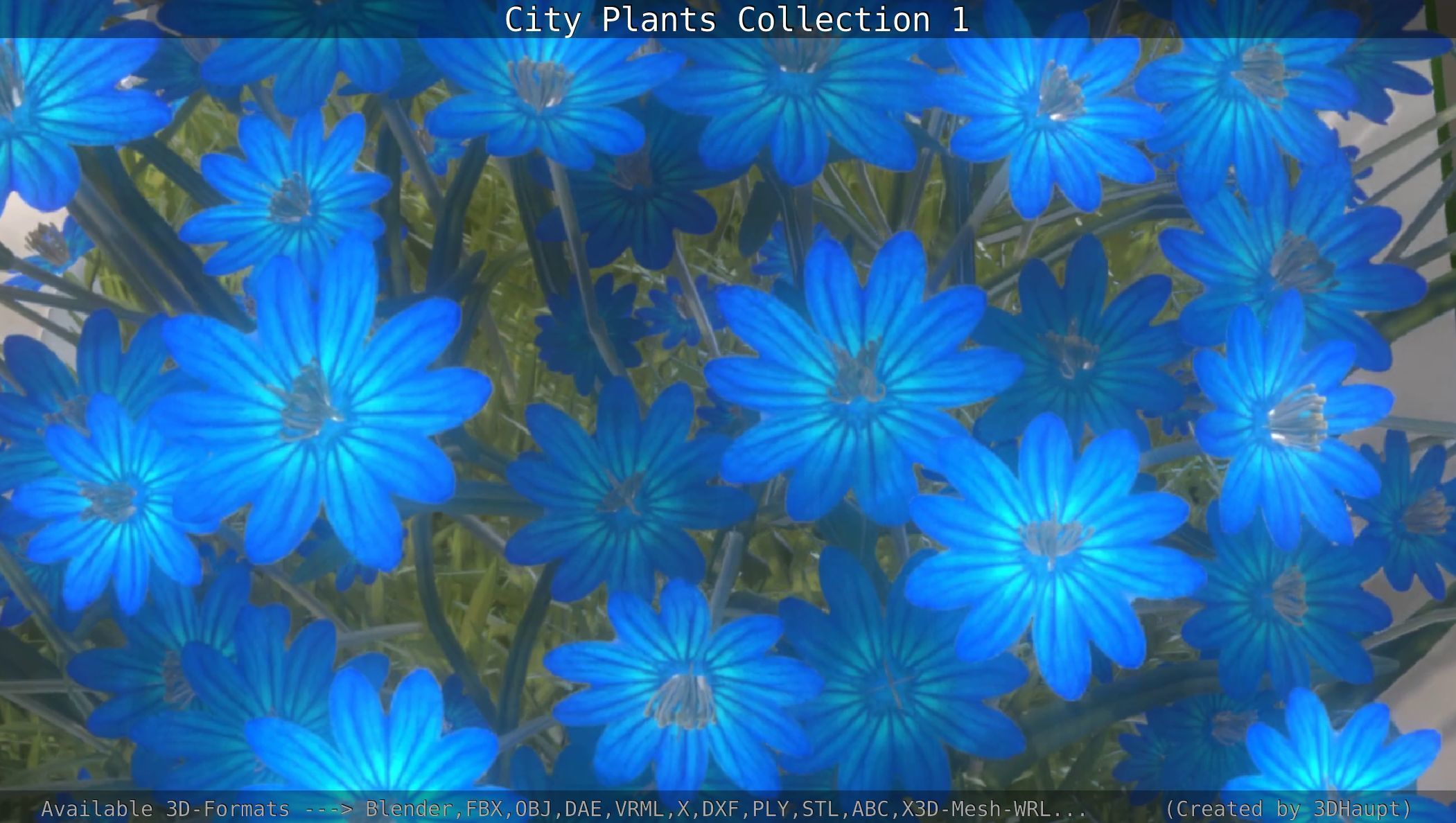 City Plants Collection 1 _115