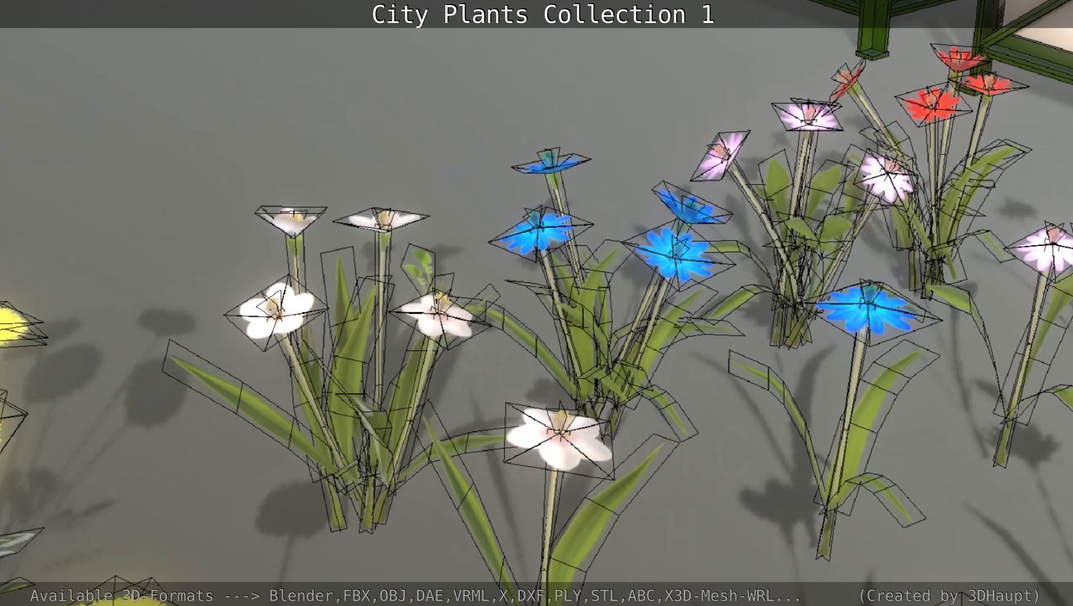 City Plants Collection 1 _74