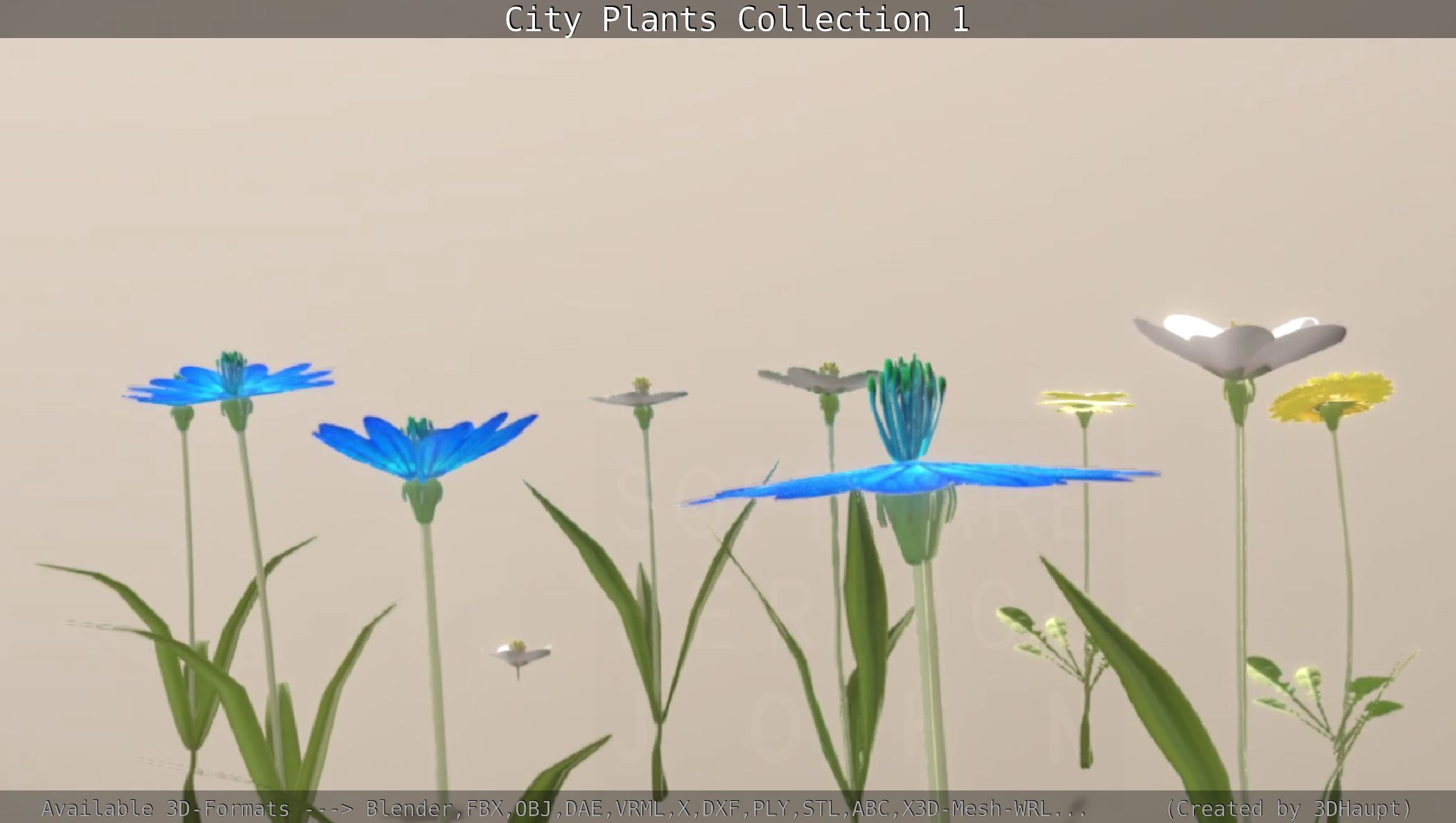 City Plants Collection 1 _86