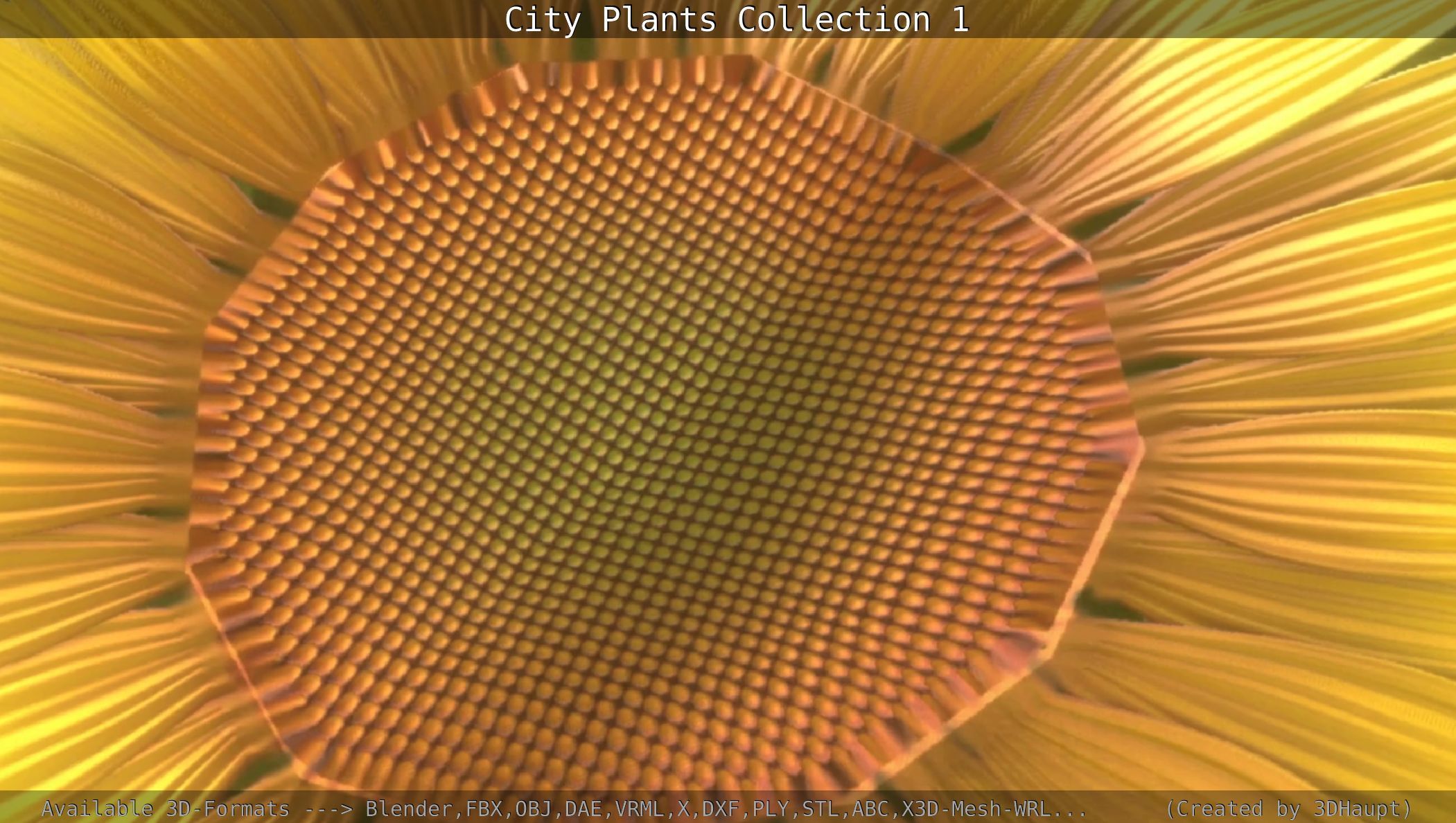 City Plants Collection 1 _73