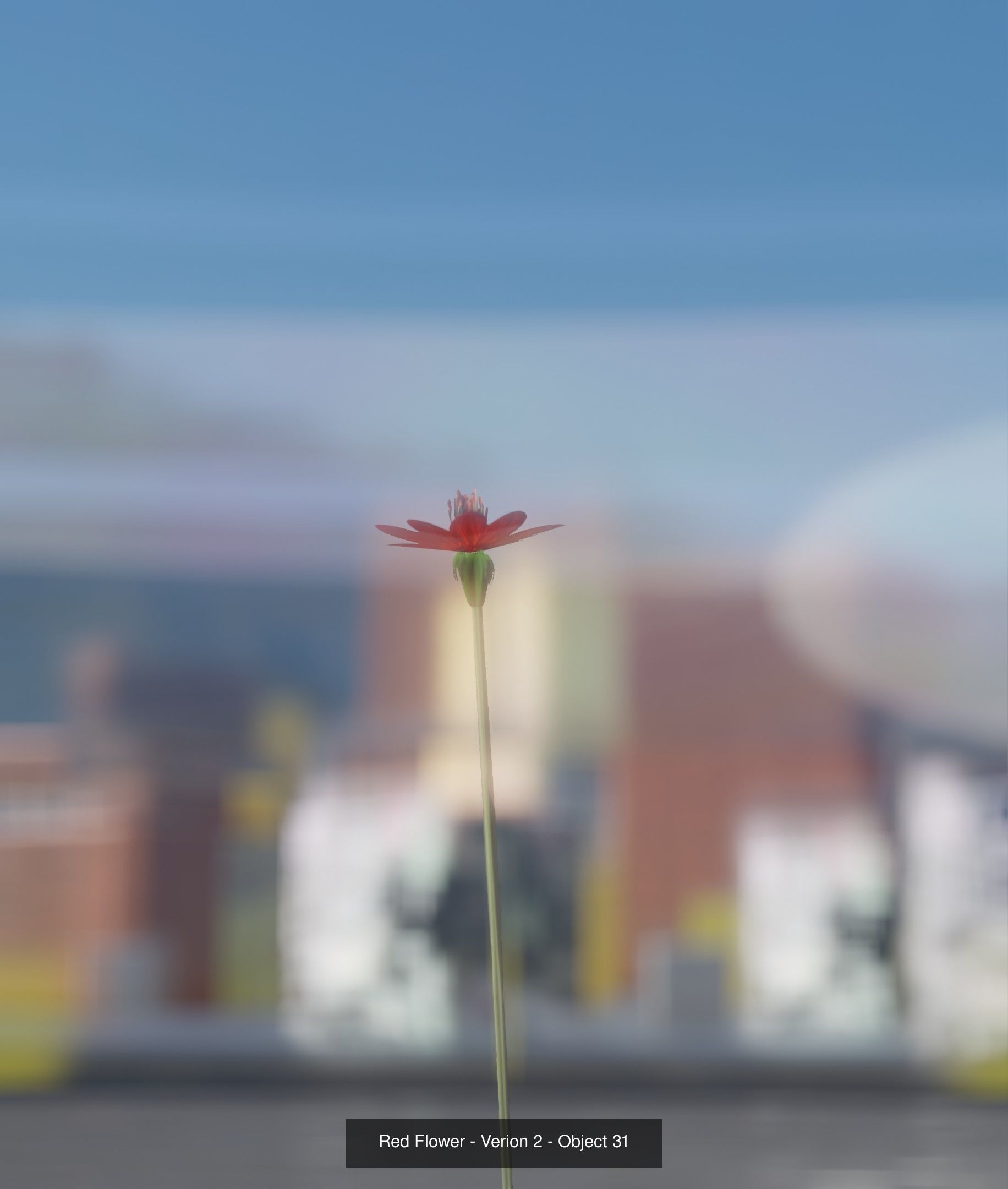 City Plants Collection 1 _40