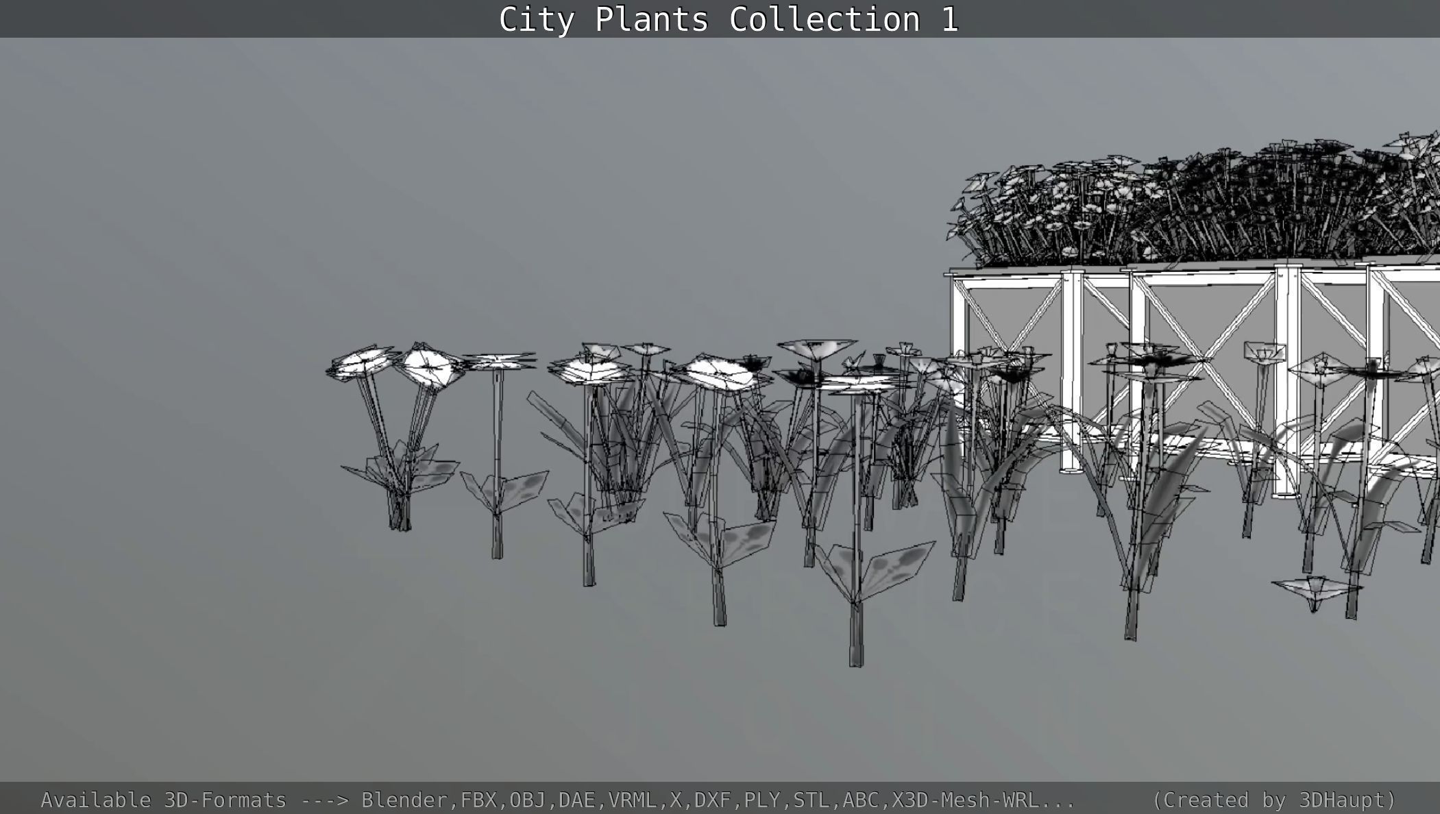 City Plants Collection 1 _98