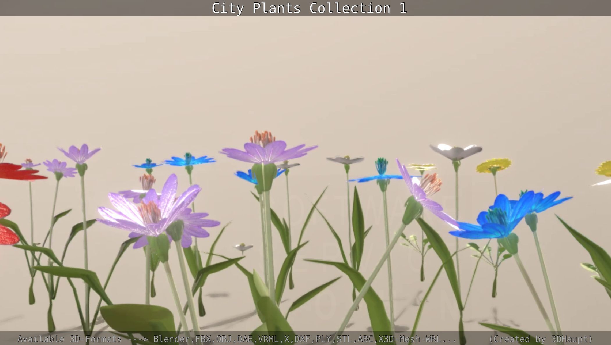 City Plants Collection 1 _61